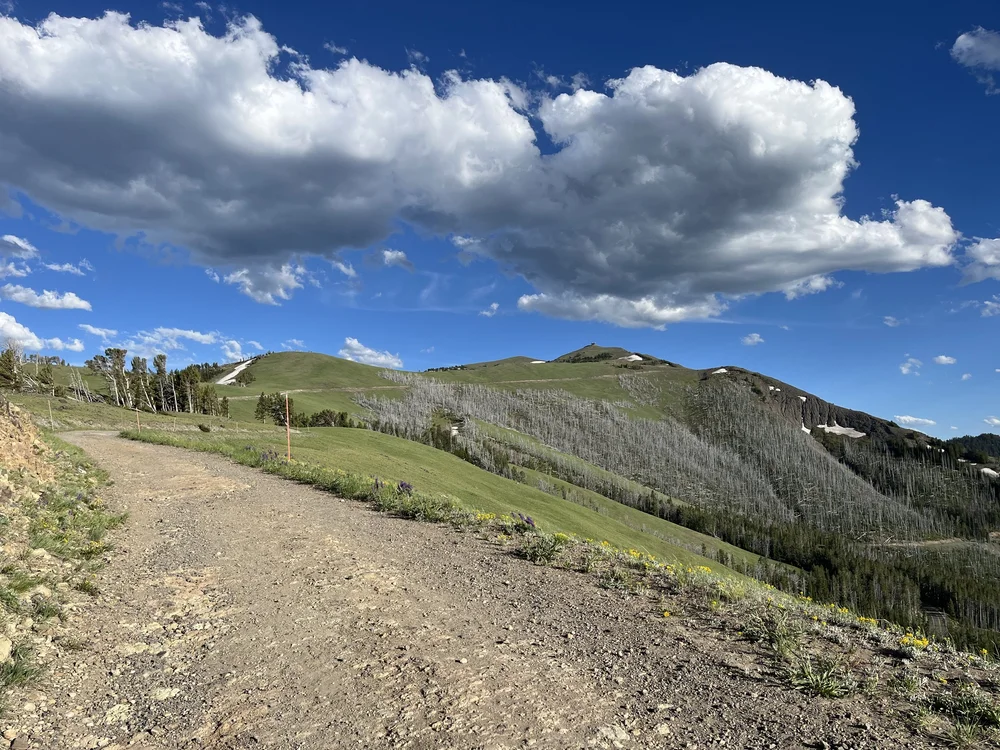 Hiking Mt. Washburn via Chittenden Road in Yellowstone National Park