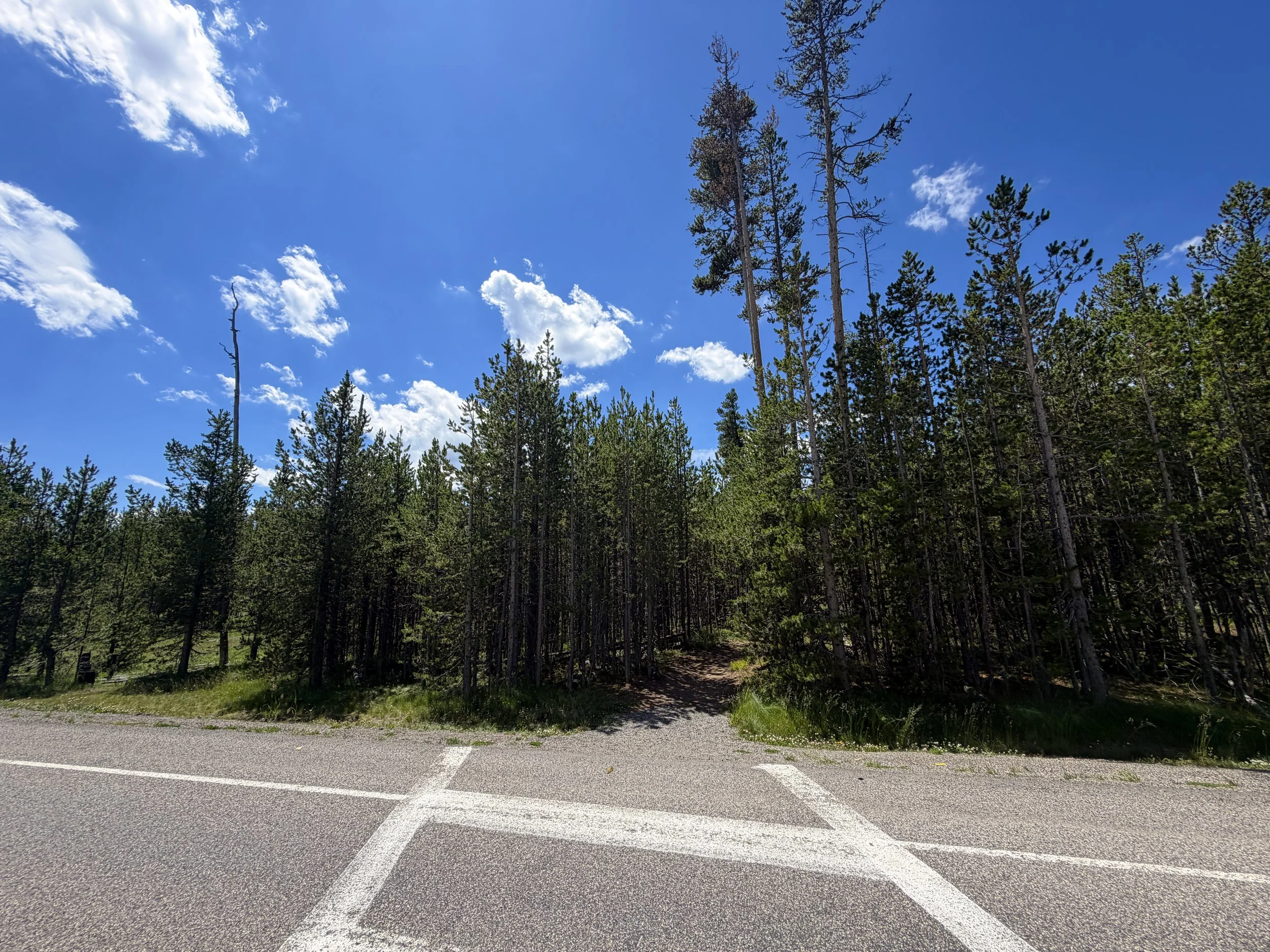 Yellowstone Lake Overlook Trailhead Yellowstone National Park Wyoming