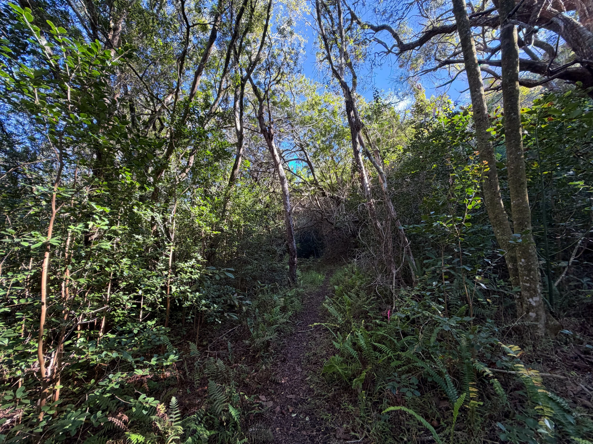 Mokuleia Trail Oahu Hawaii