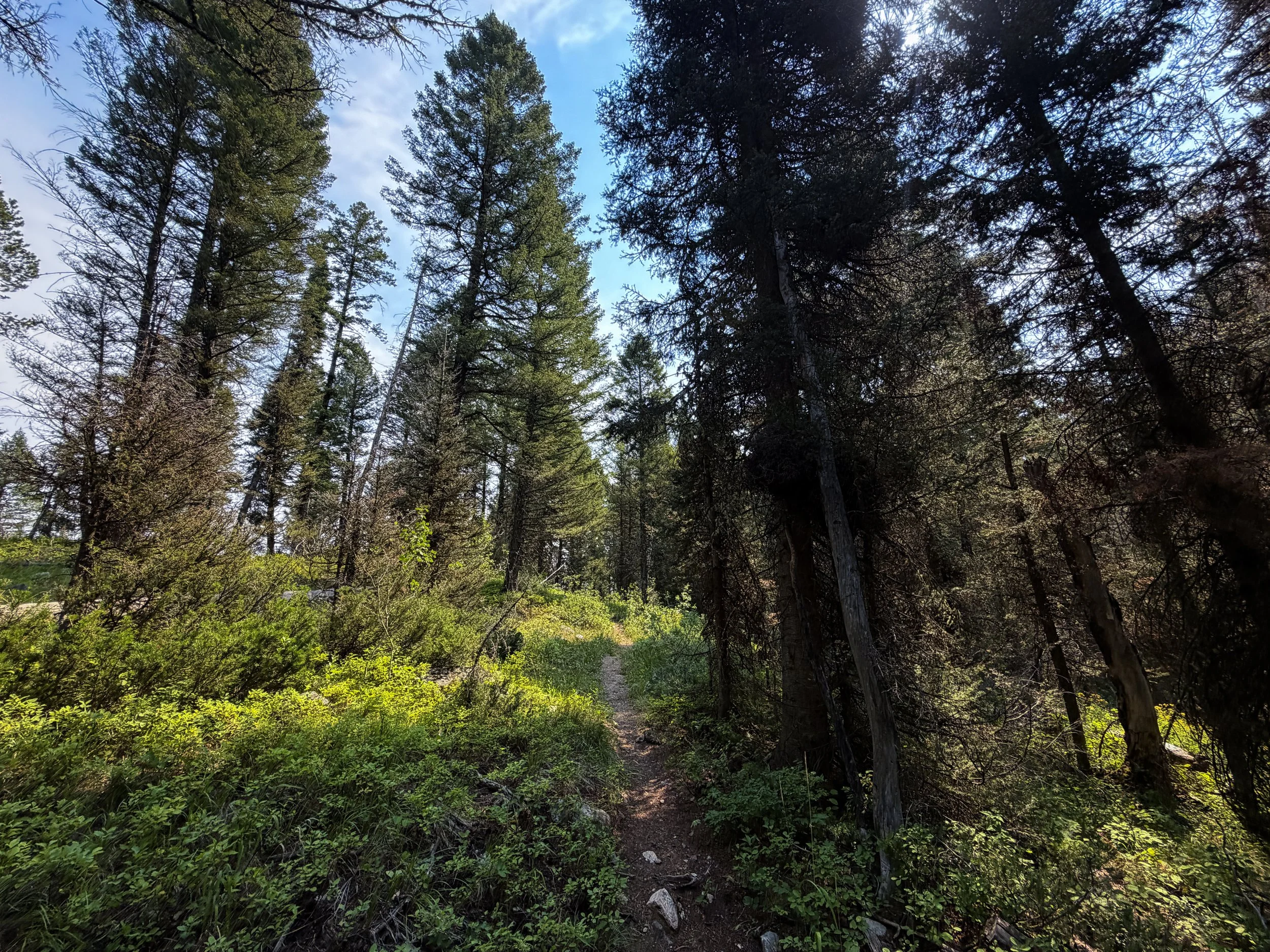 Boulder Ridge Loop Trail Grand Teton National Park Wyoming