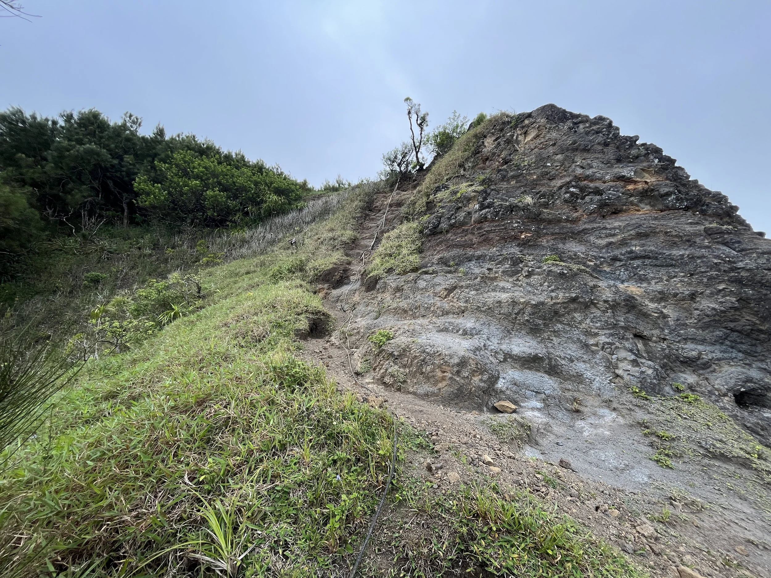 Hiking the Puʻu ʻO Kona Trail via Kuliʻouʻou Valley on Oʻahu — noahawaii
