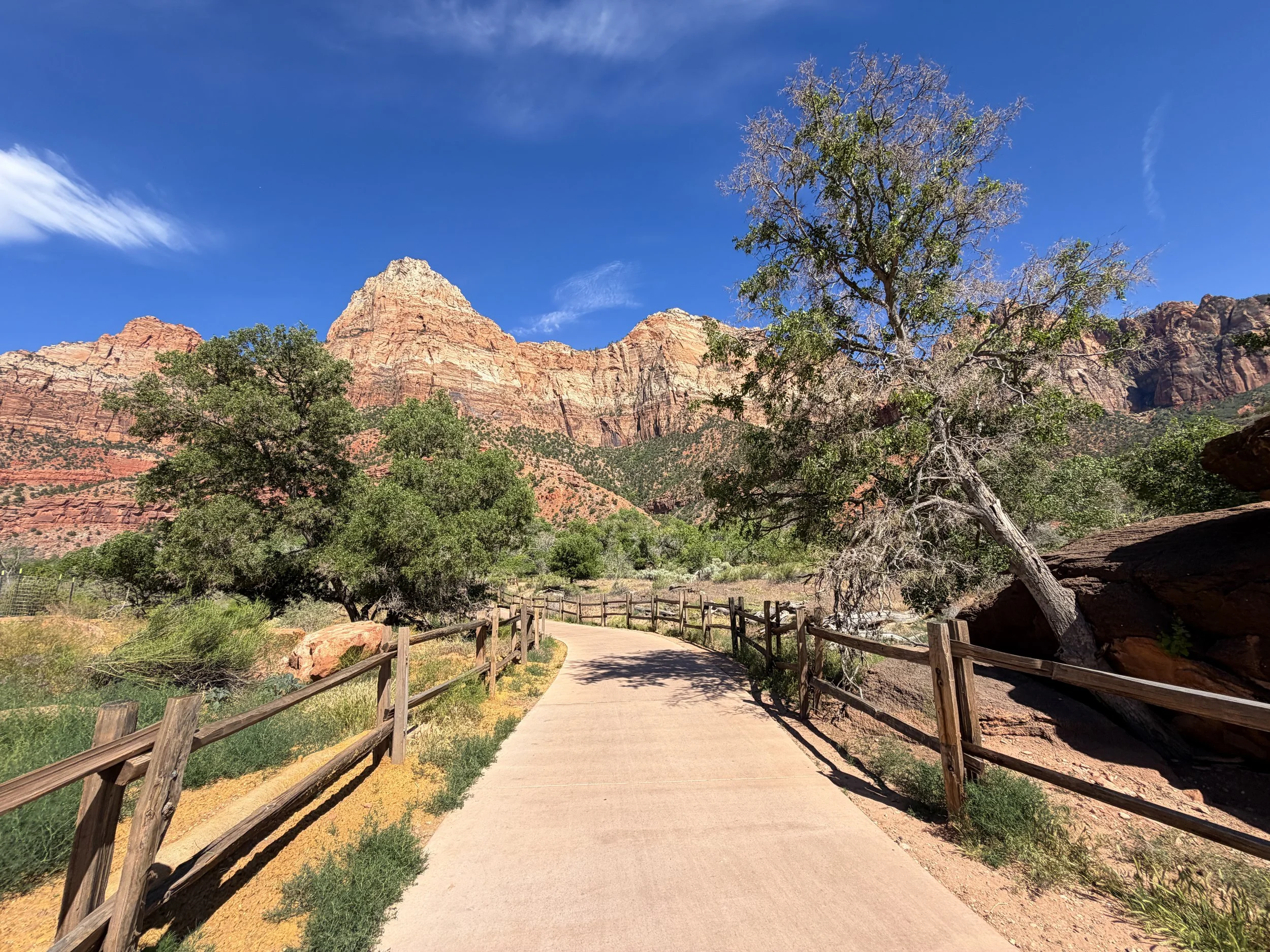 Parus Trail Zion National Park Utah