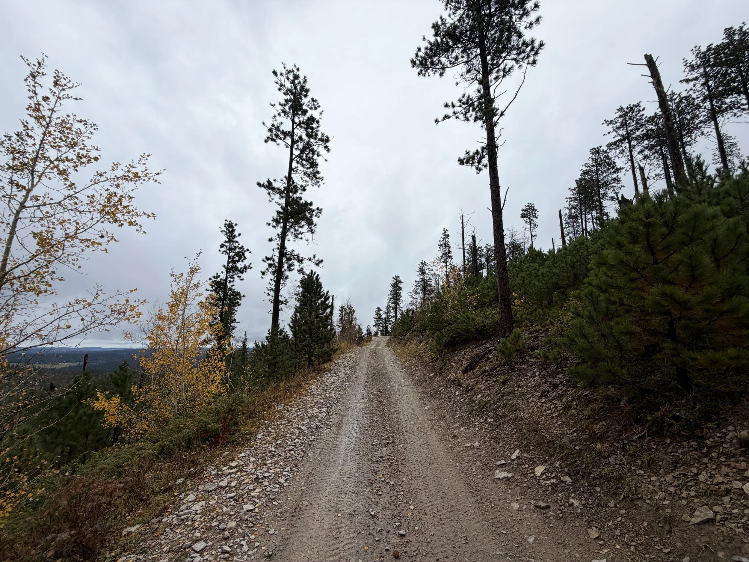 Custer Peak Hike Black Hills South Dakota