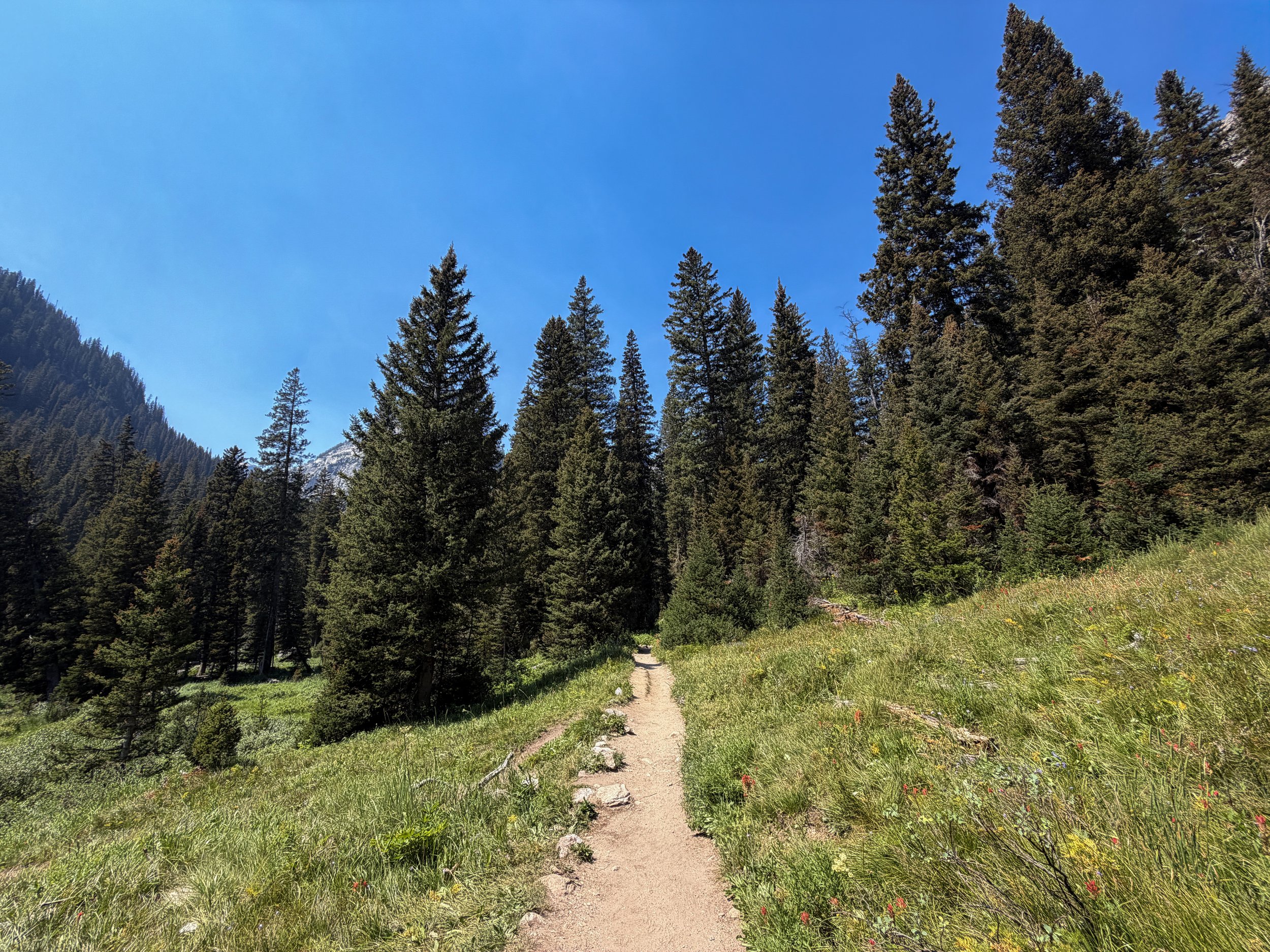 Cascade Canyon Trail Grand Teton National Park Wyoming