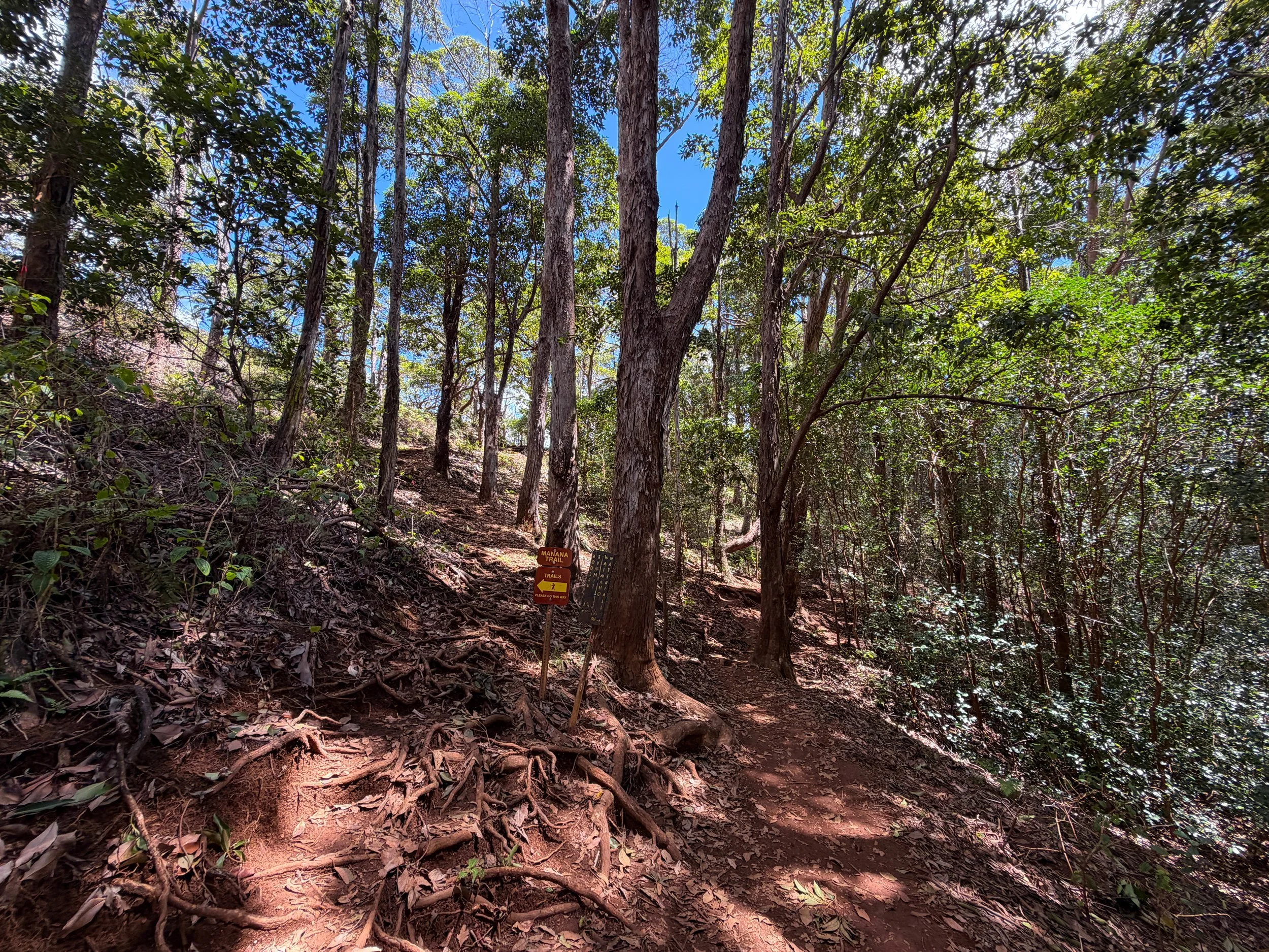 Waimano Falls Trail Oahu Hawaii