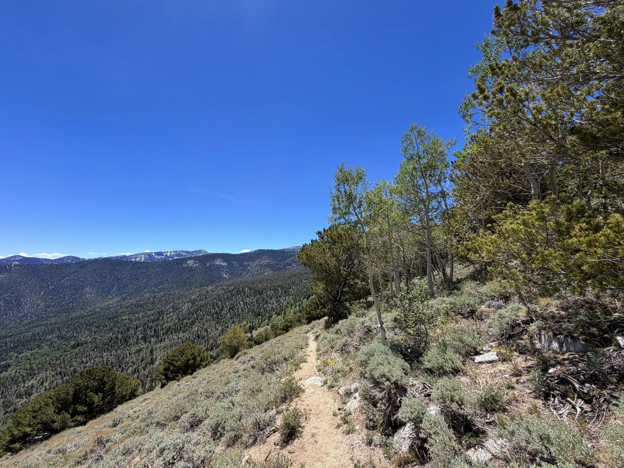 Timber Creek Trail to Johnson Lake Great Basin National Park Nevada