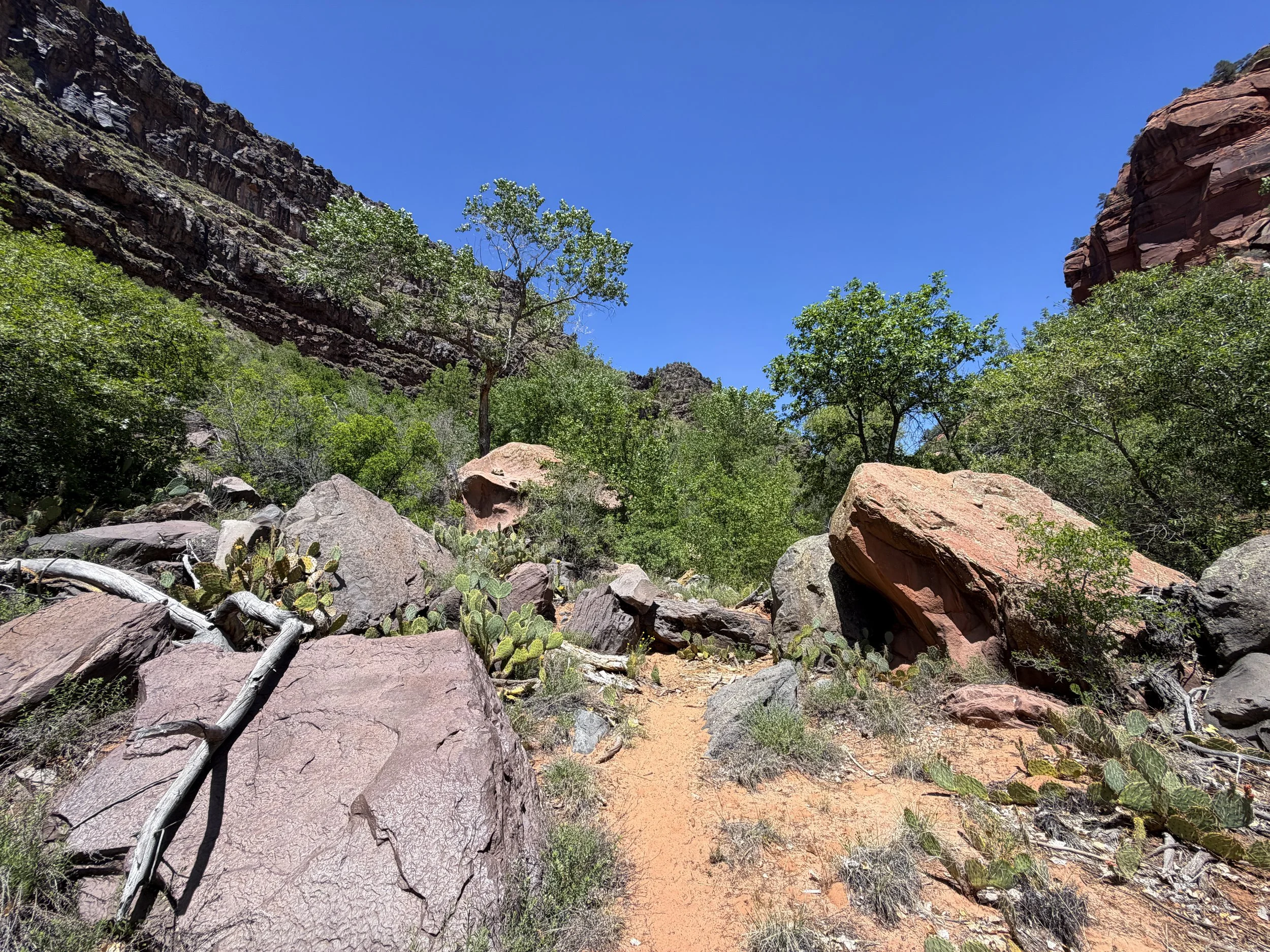 Grapevine Hike to Left Fork Falls Zion National Park Utah