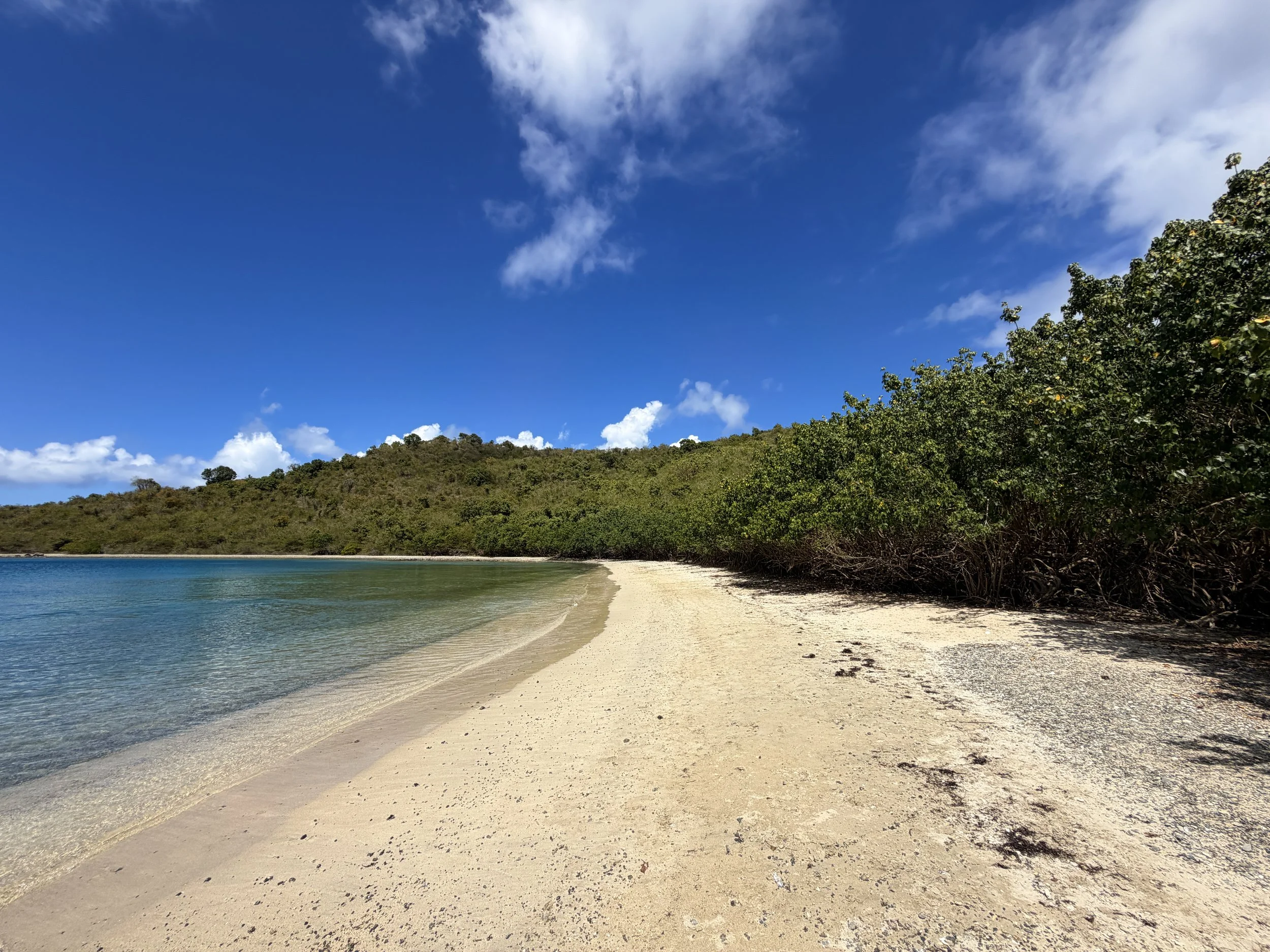 Leinster Bay Trail Waterlemon Bay Beach Virgin Islands National Park