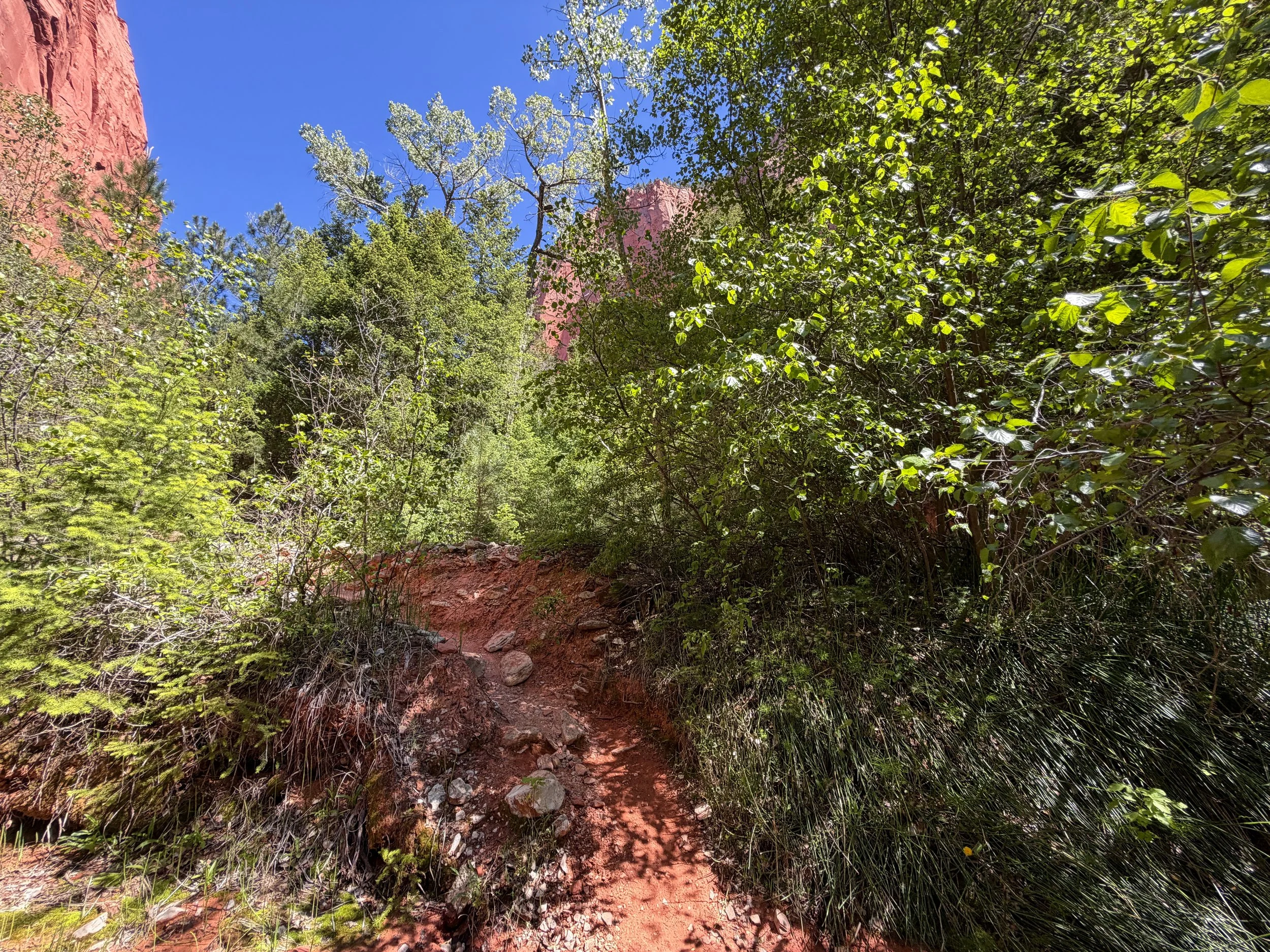 Taylor Creek Hike Zion National Park Utah