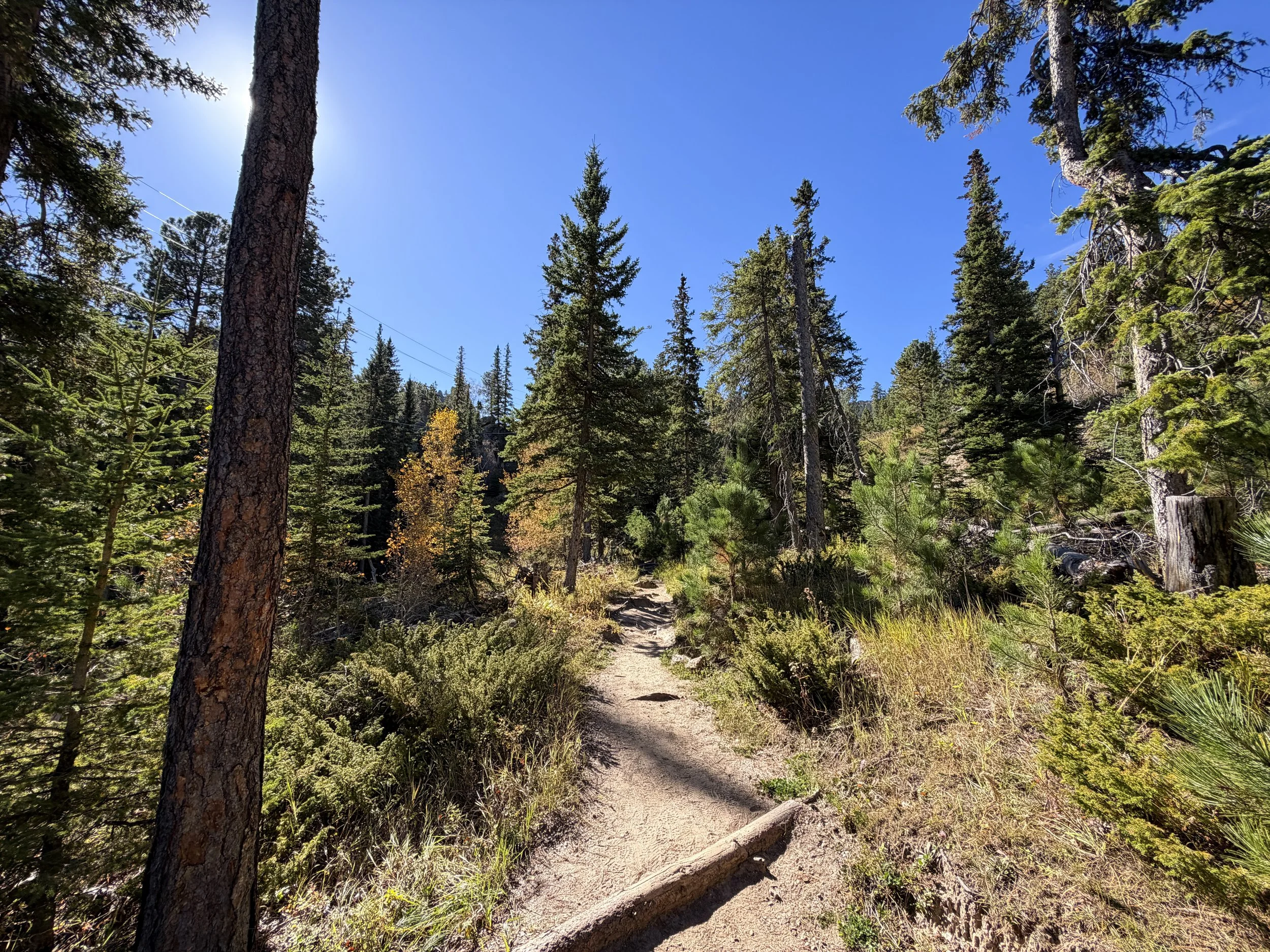 Sunday Gulch Loop Trail Custer State Park Black Hills South Dakota