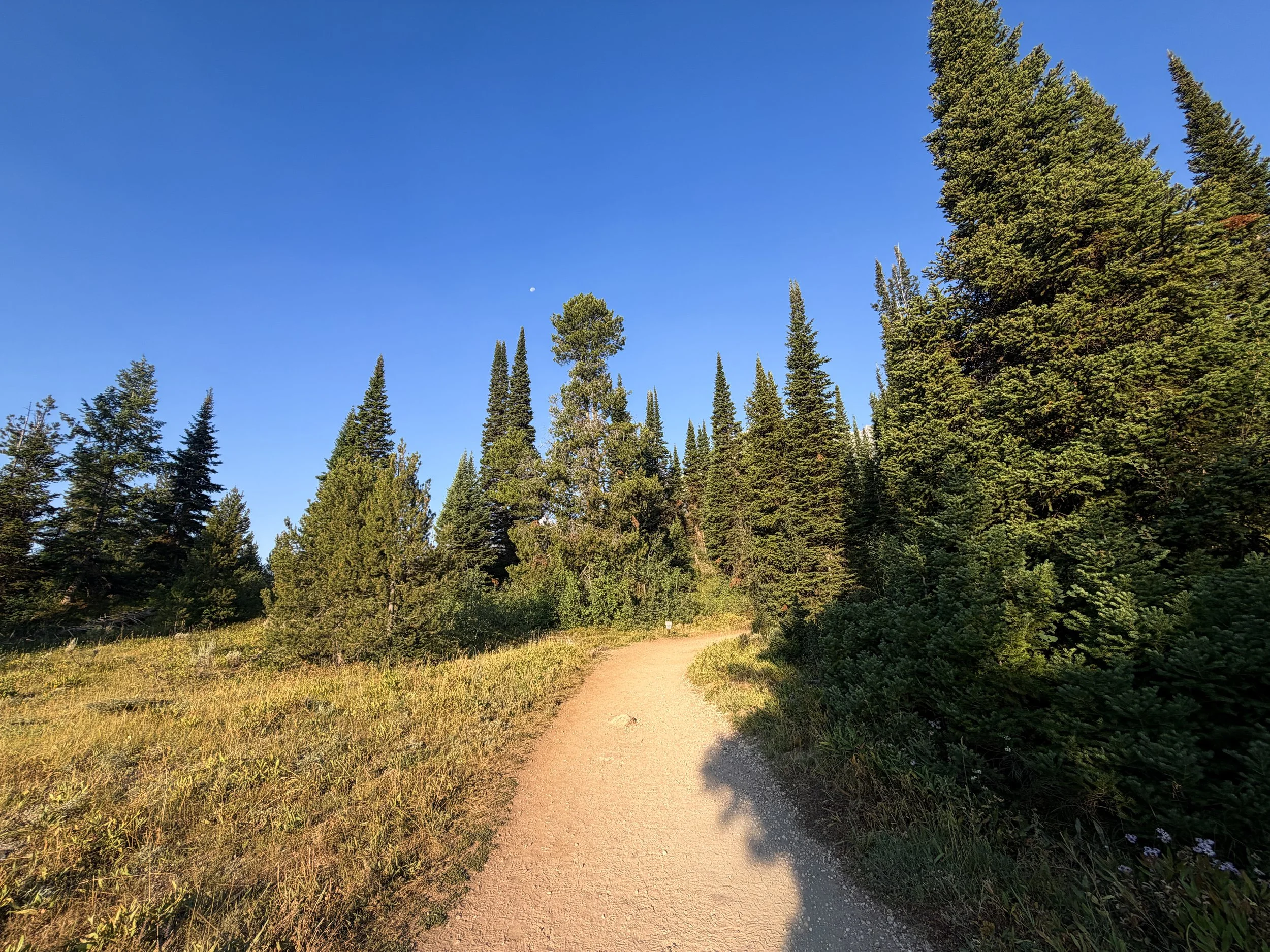 Hidden Falls Trail via Jenny Lake Grand Teton National Park Wyoming