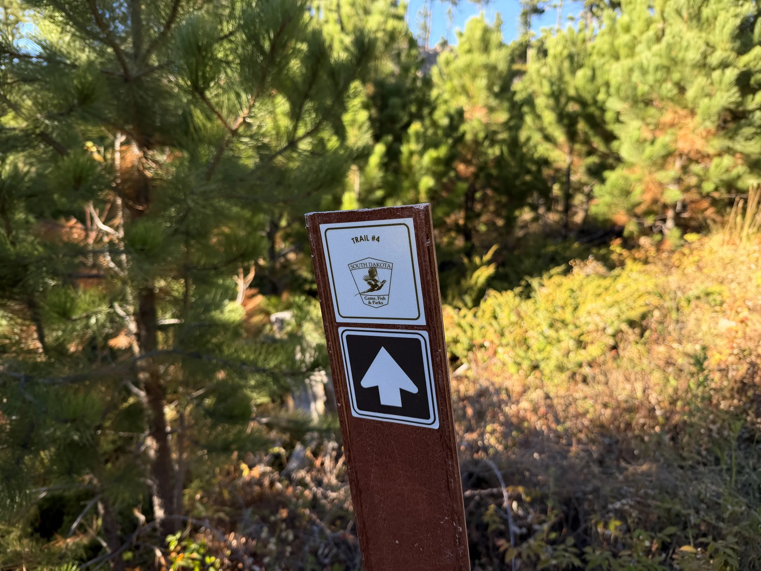 Little Devils Tower Trail Custer State Park Black Hills South Dakota