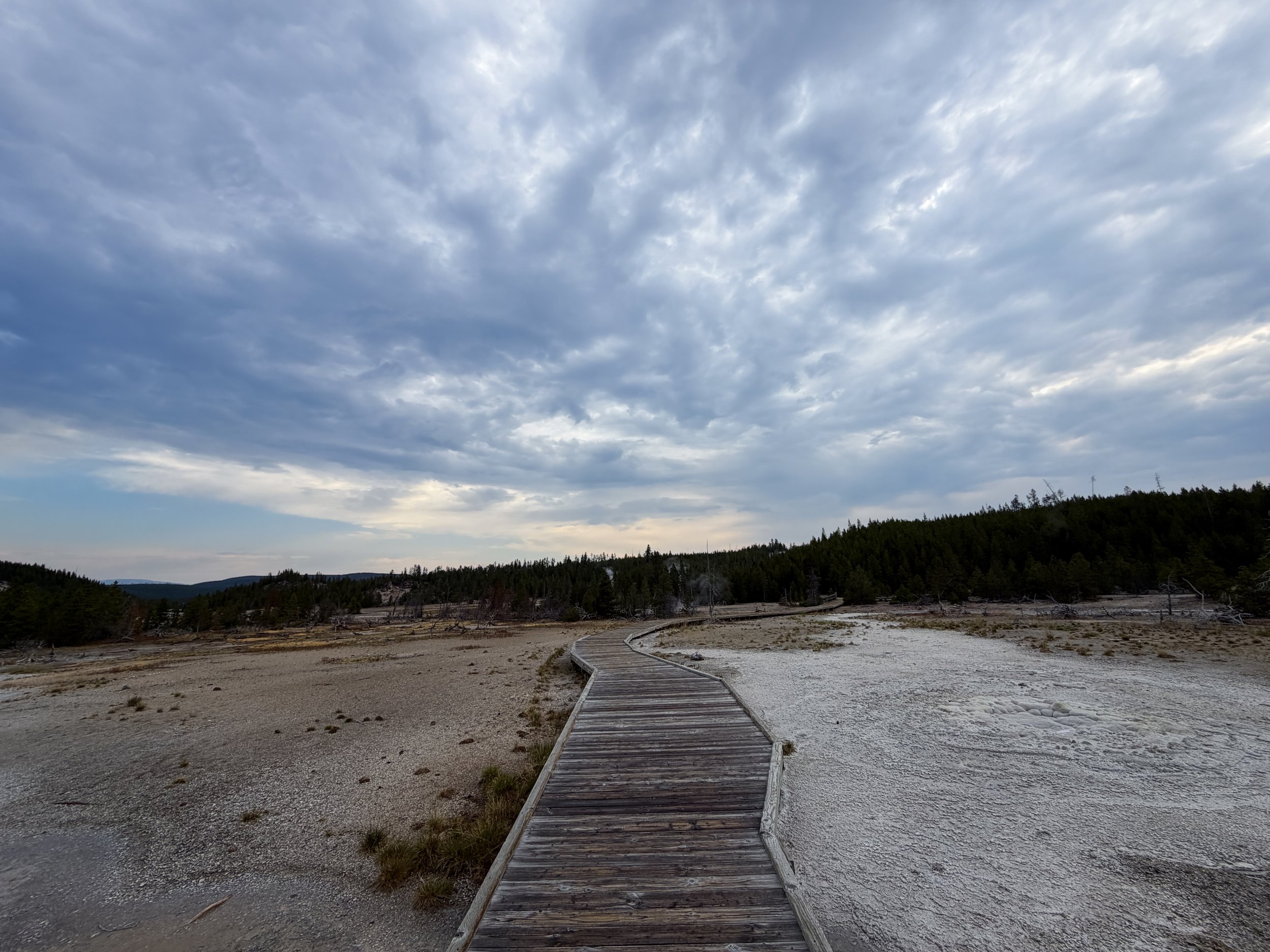Norris Geyser Basin Trail Yellowstone National Park Wyoming