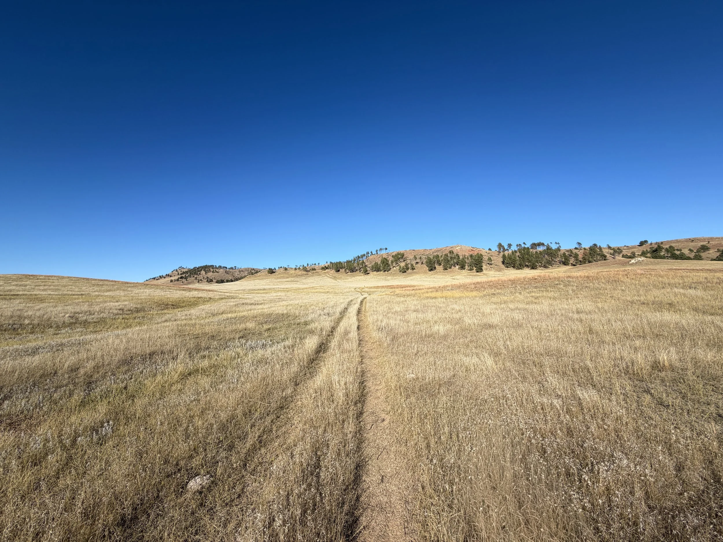 Boland Ridge Trail Wind Cave National Park South Dakota