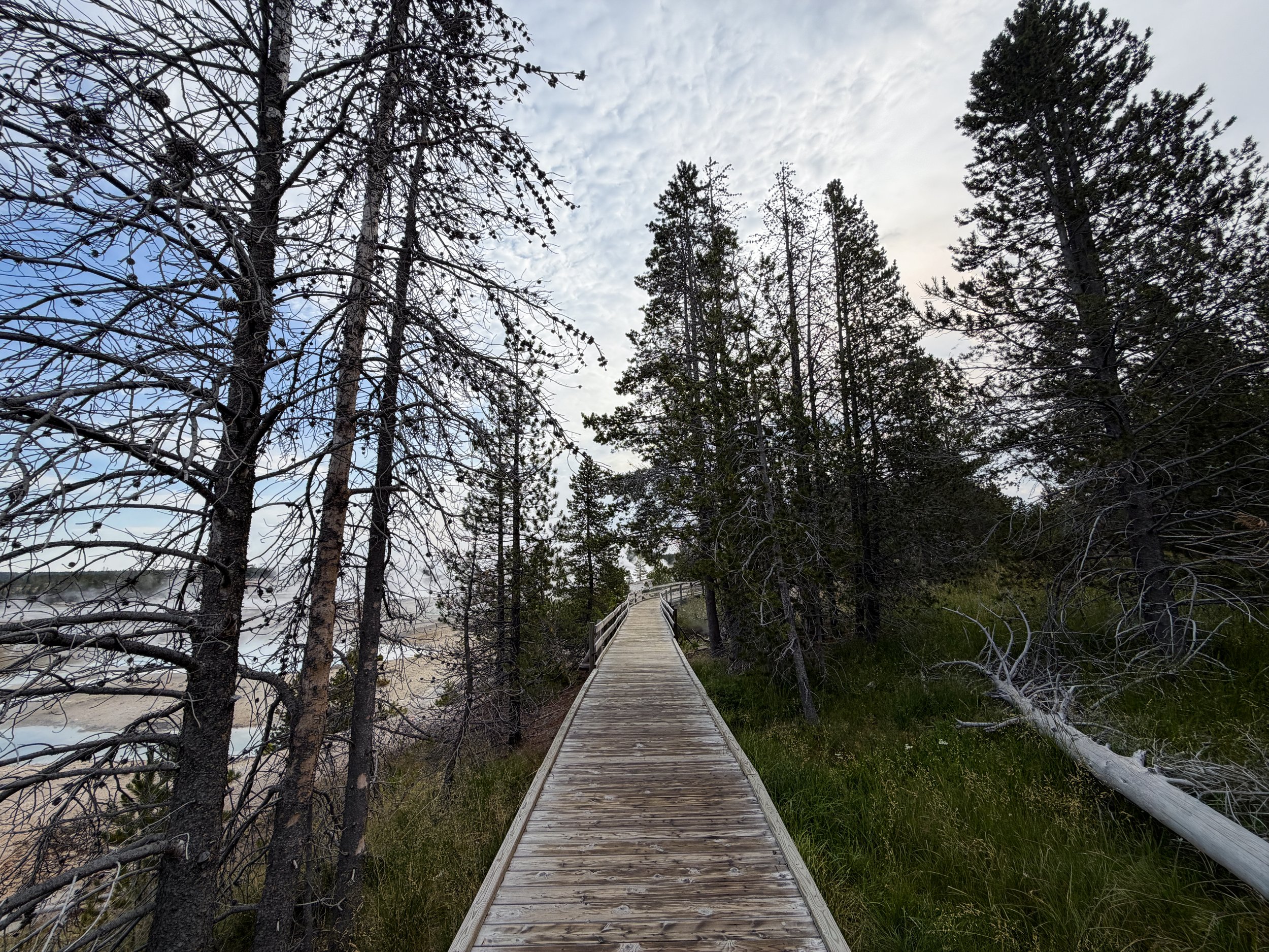 Porcelain Basin Loop Trail Yellowstone National Park Wyoming