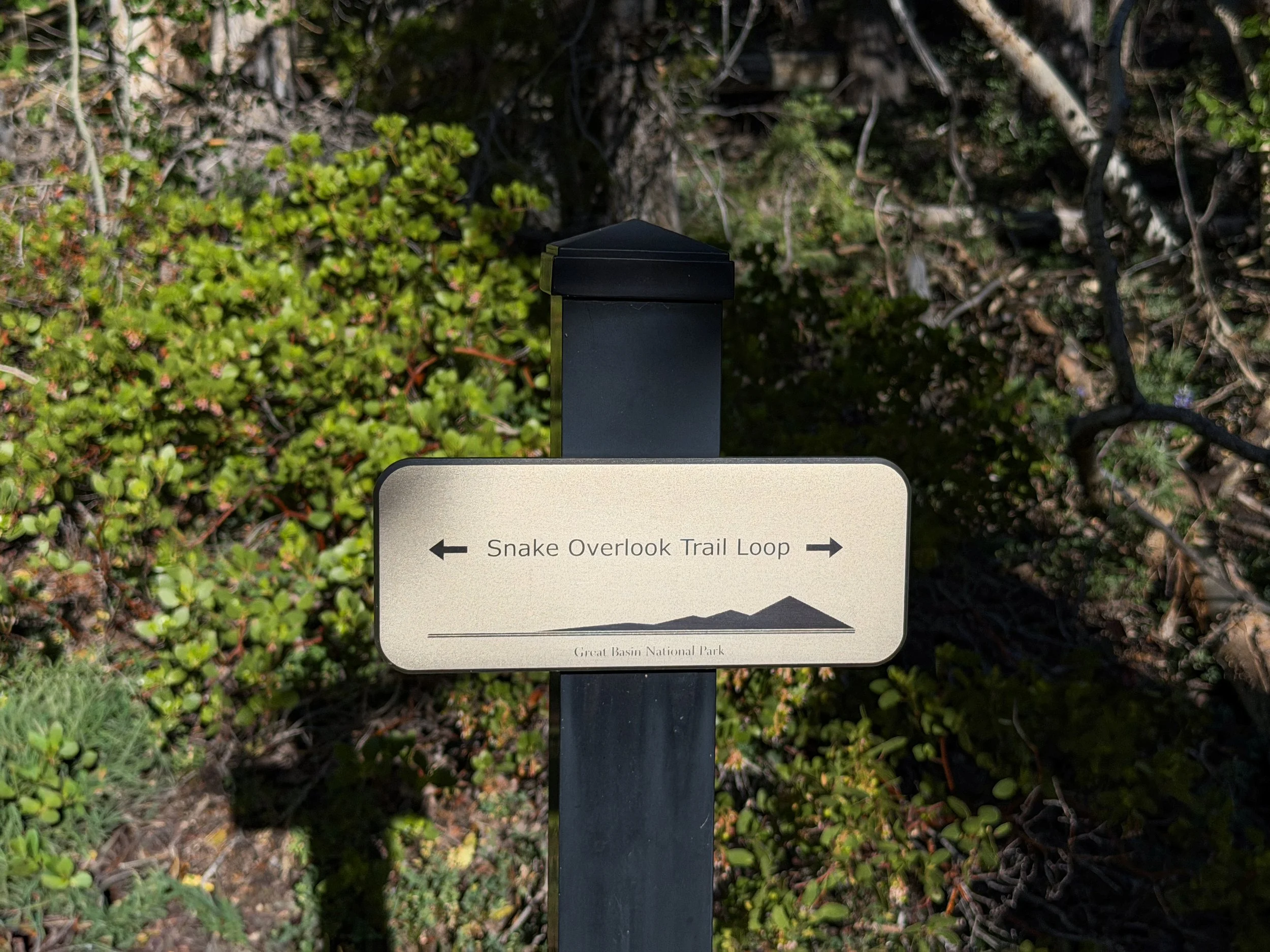 Snake Creek Overlook Loop Trail Great Basin National Park Nevada