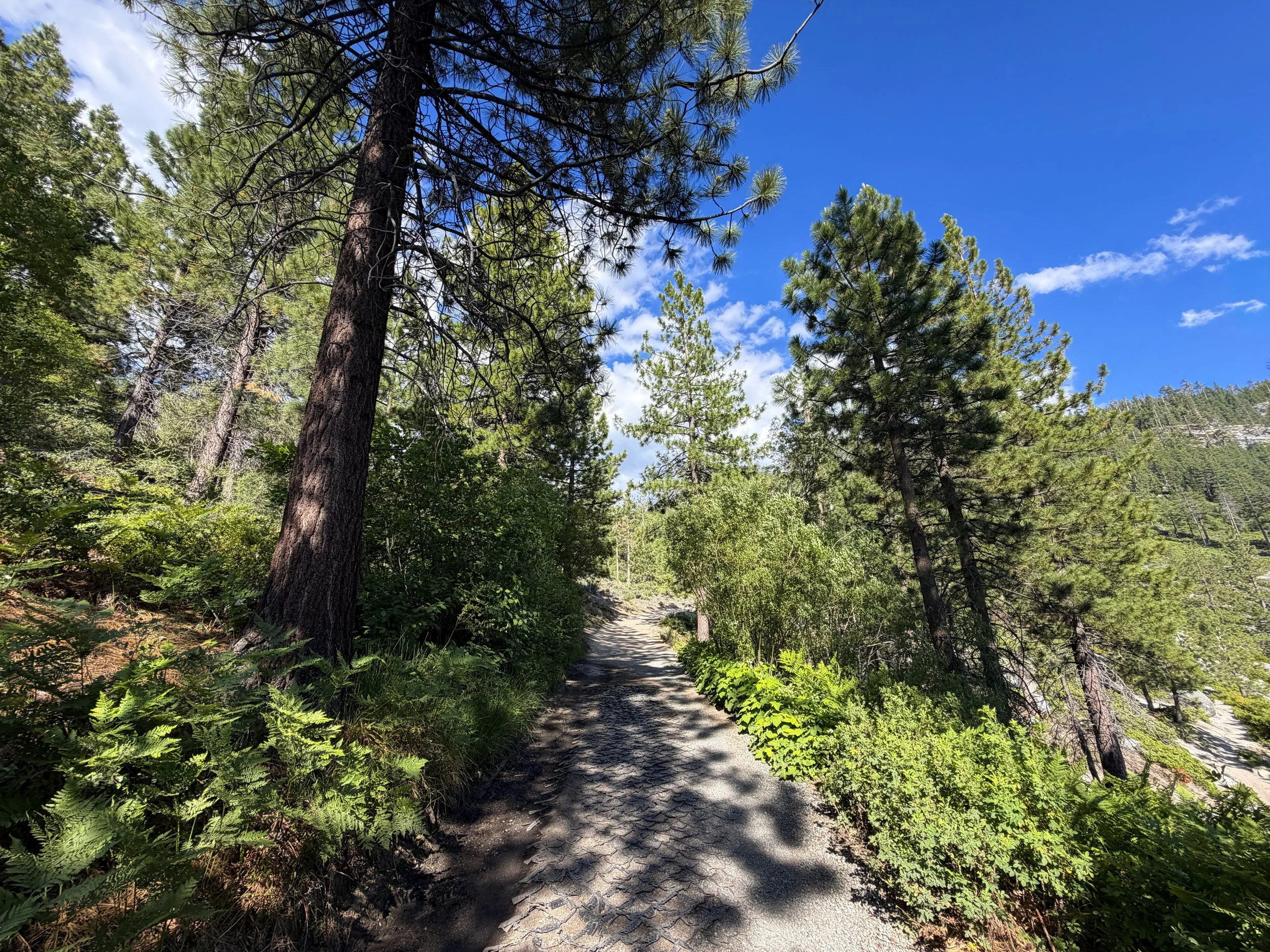 Monkey Rock Hike Lake Tahoe Nevada