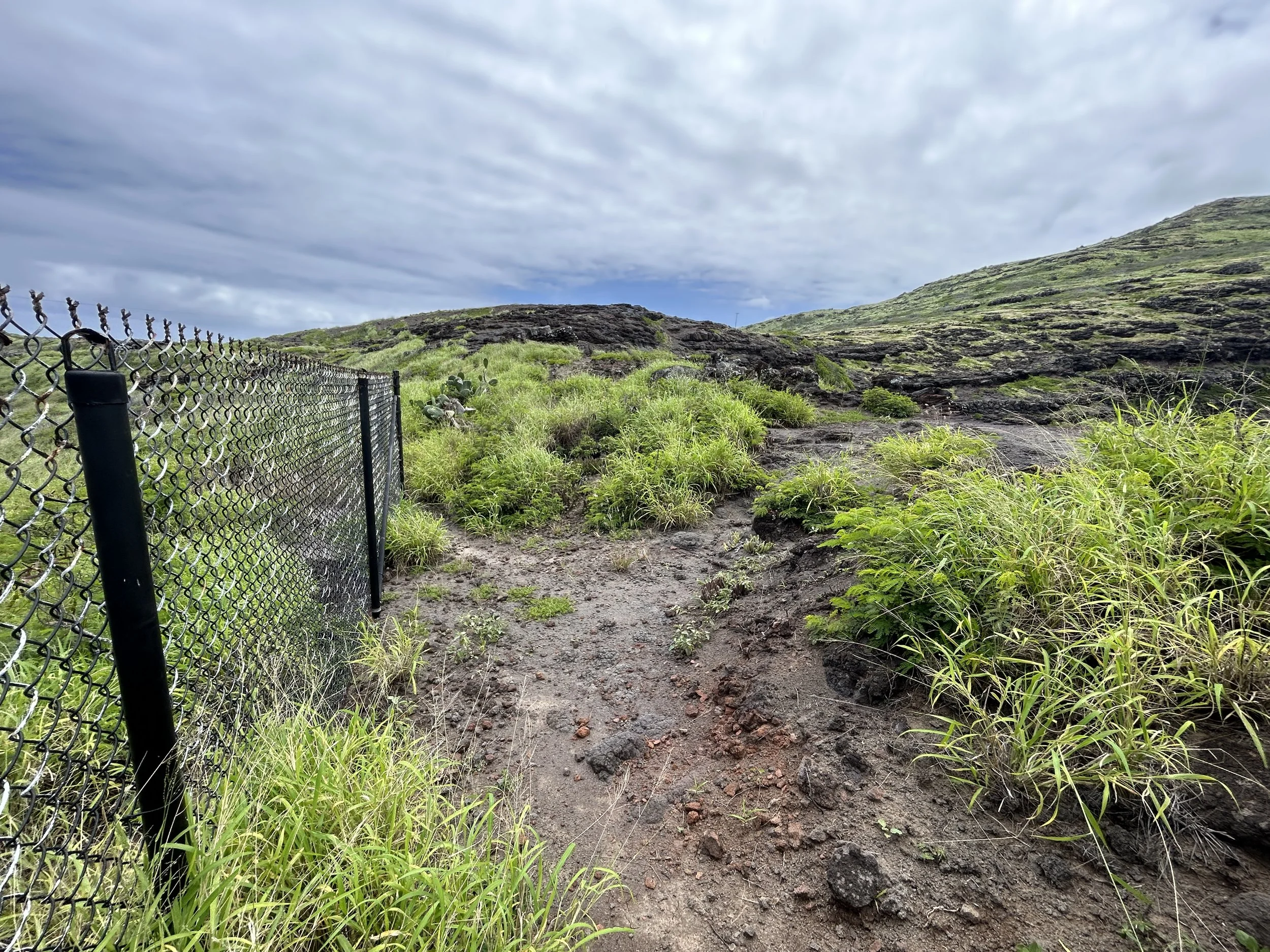 Hiking the Makapuʻu Tom Tom Trail on Oʻahu — noahawaii