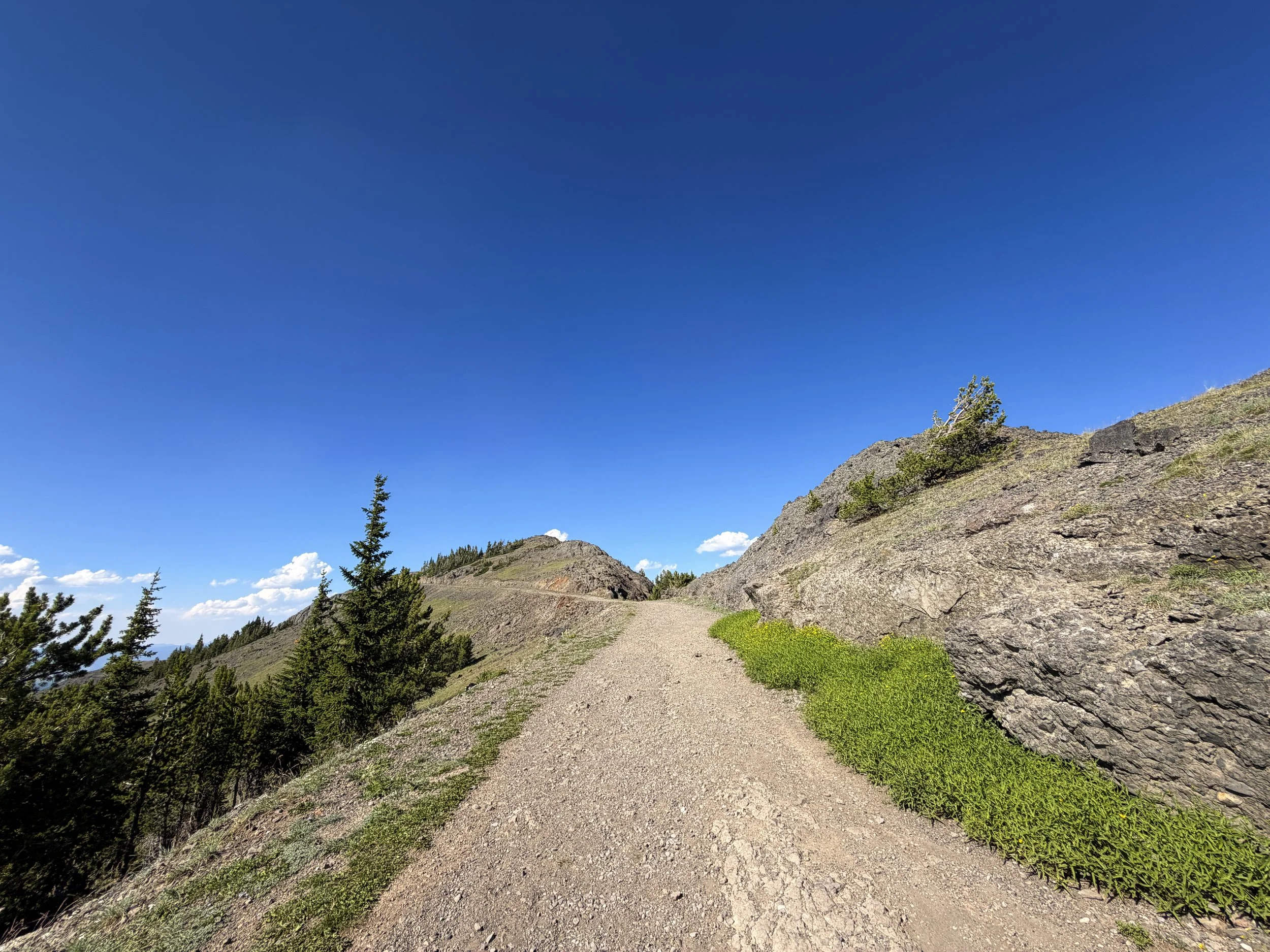 South Mount Washburn Trail via Dunraven Pass Yellowstone National Park Wyoming