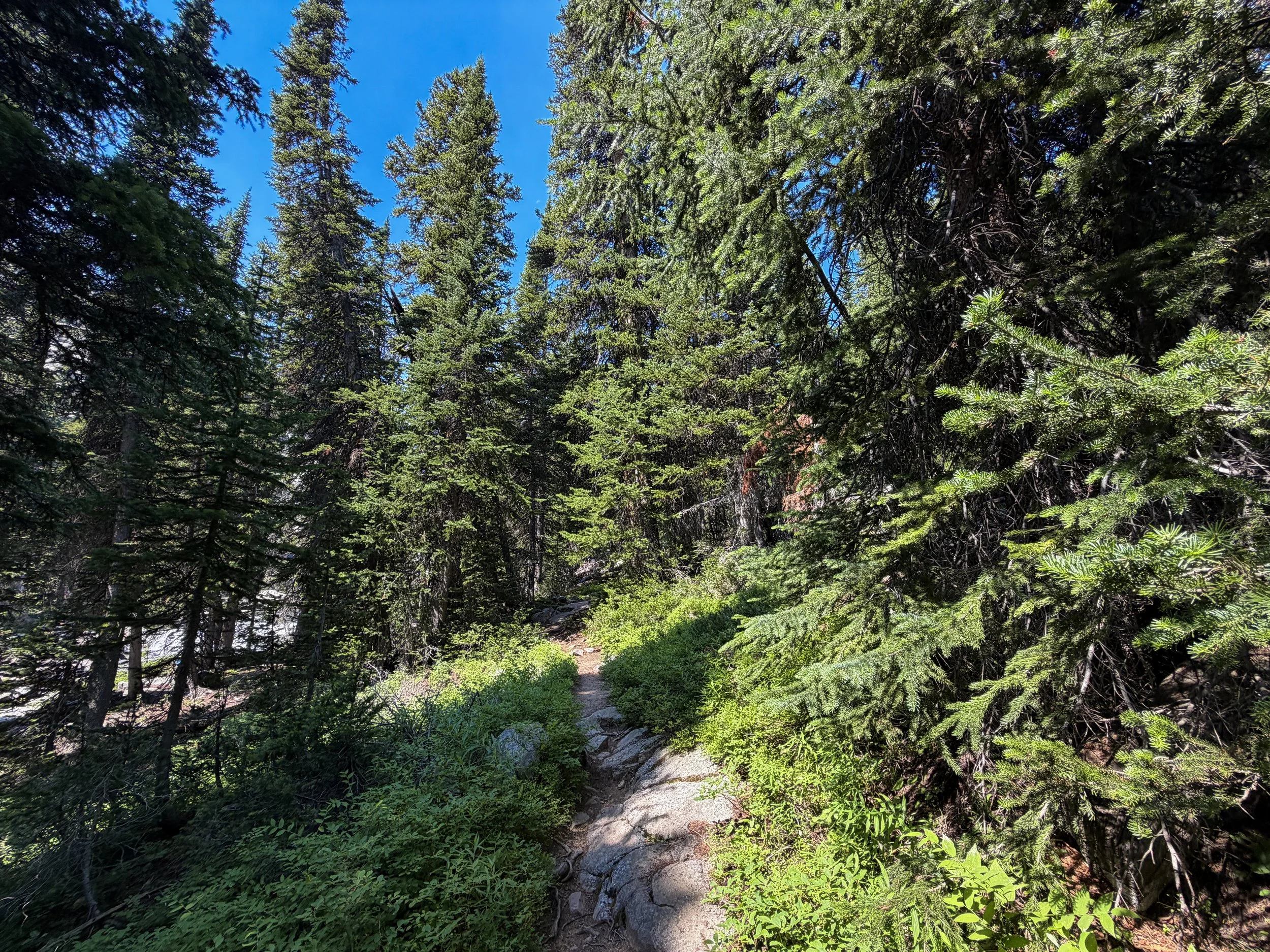 East Rosebud Trail The Beaten Path Beartooth Mountains Montana
