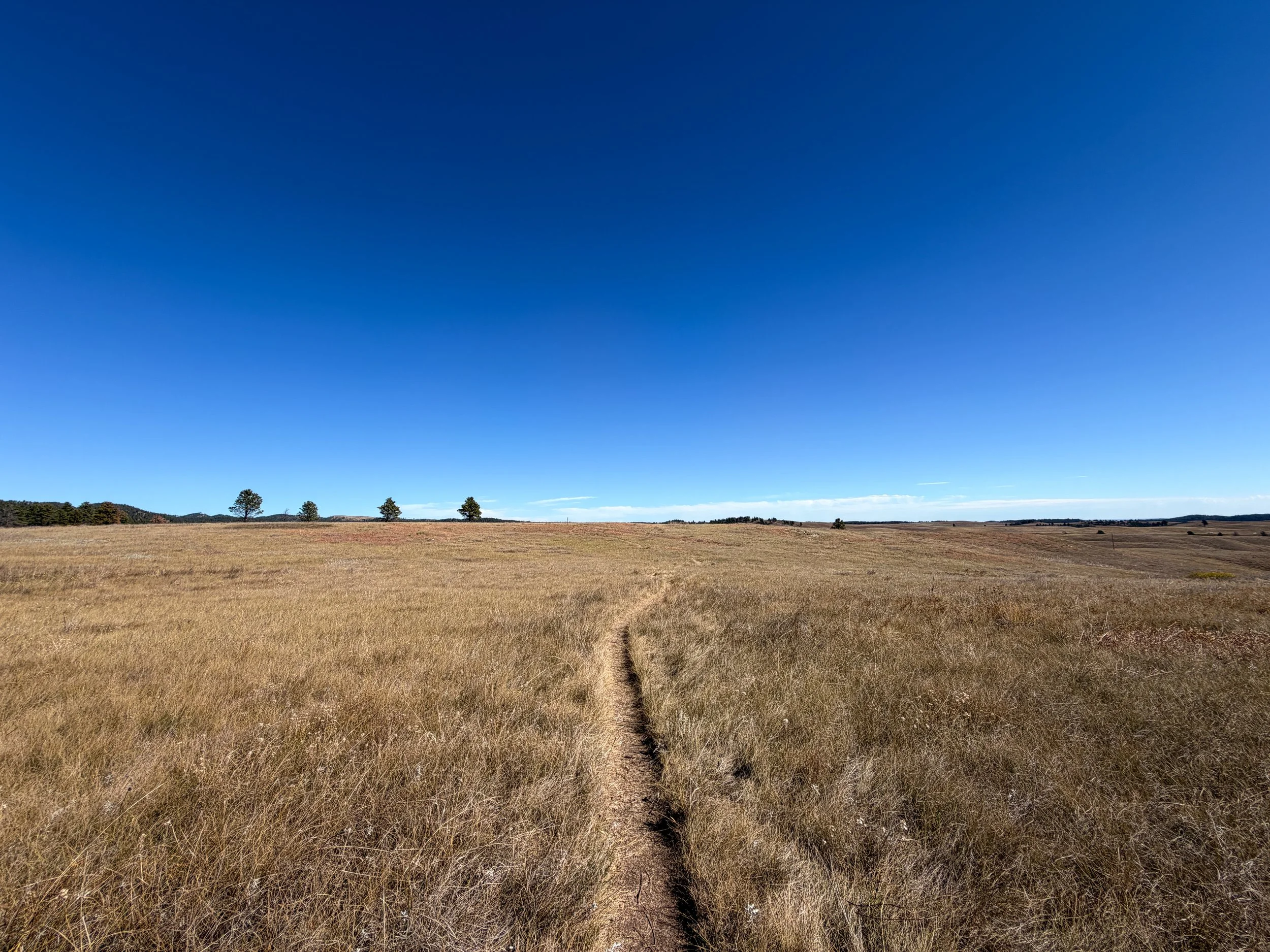 Elk Mountain Trail Wind Cave National Park South Dakota