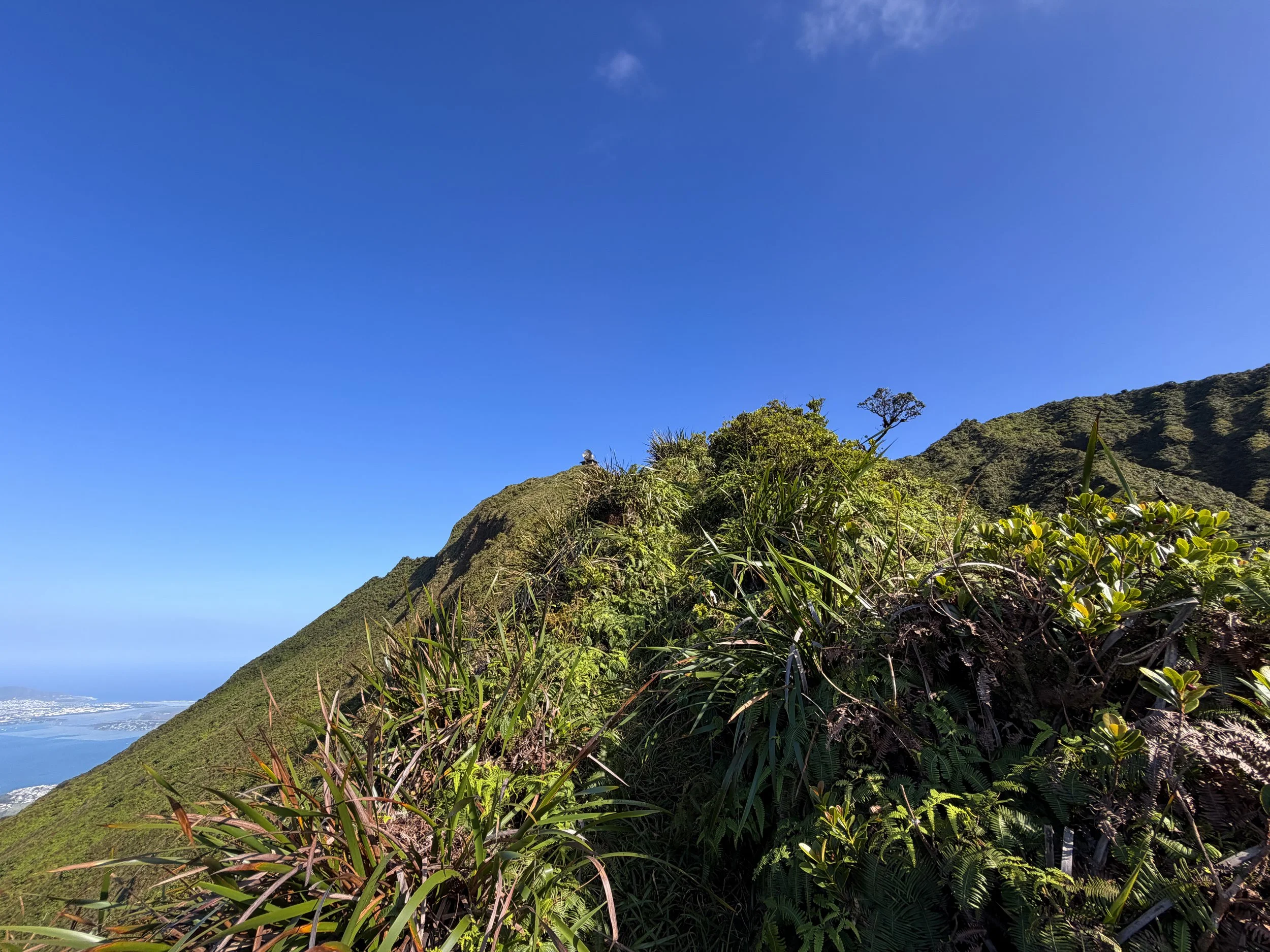 Moanalua Saddle to Stairway to Heaven Koolau Summit Trail Oahu Hawaii