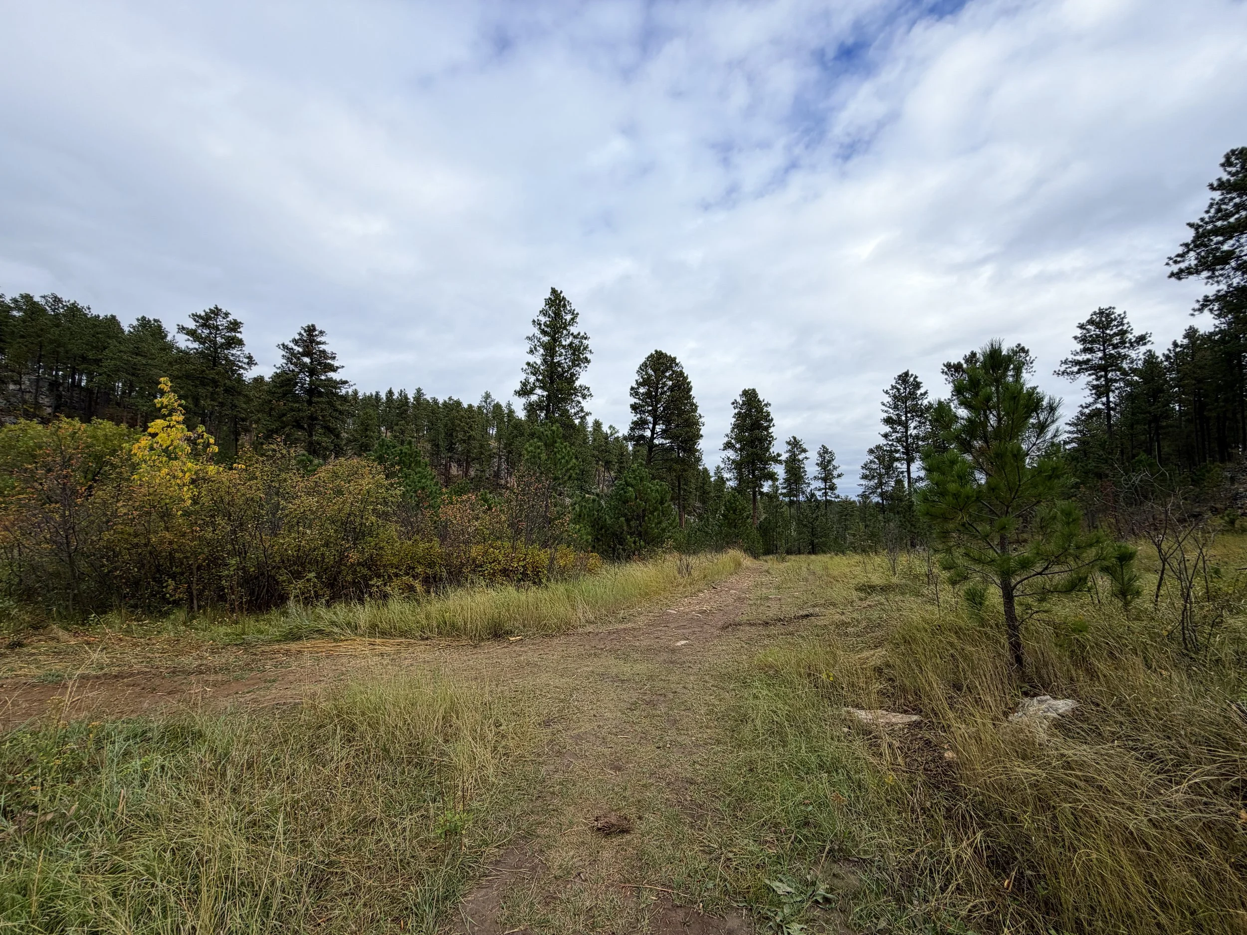 Buzzards Roost Trail Black Hills Rapid City South Dakota