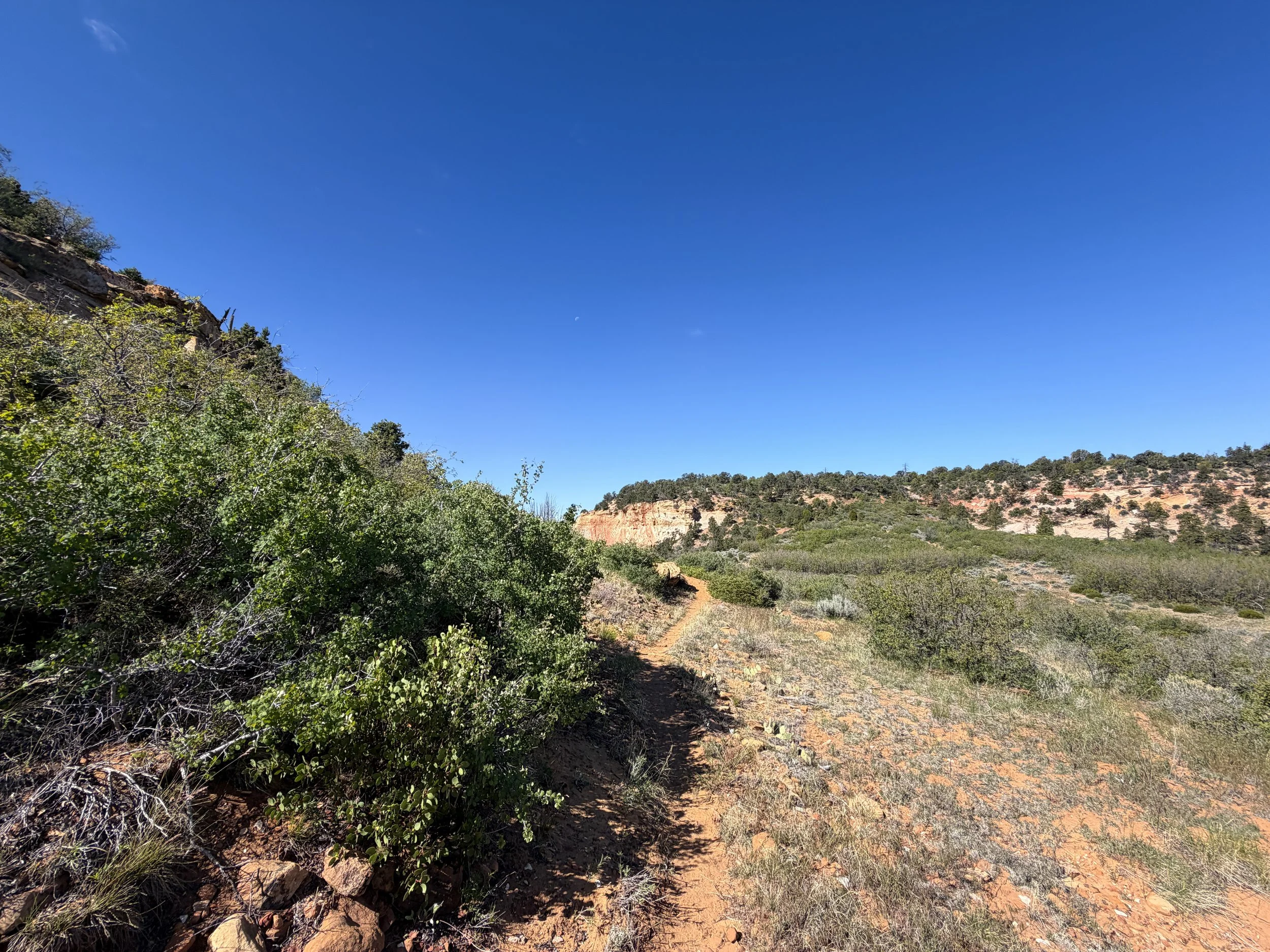 Deertrap Mountain Trail Zion National Park Utah