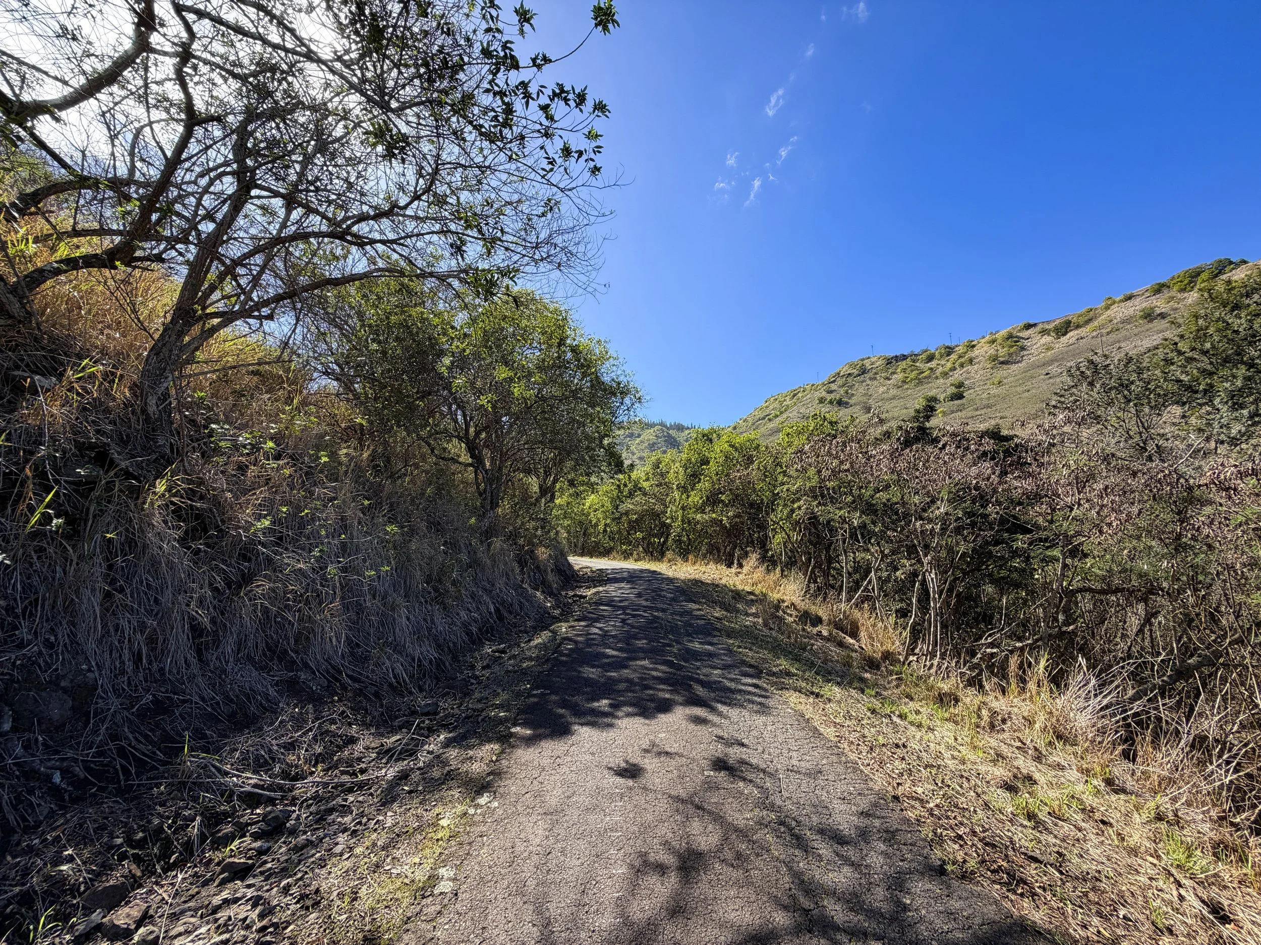 Mokuleia Access Road Oahu Hawaii