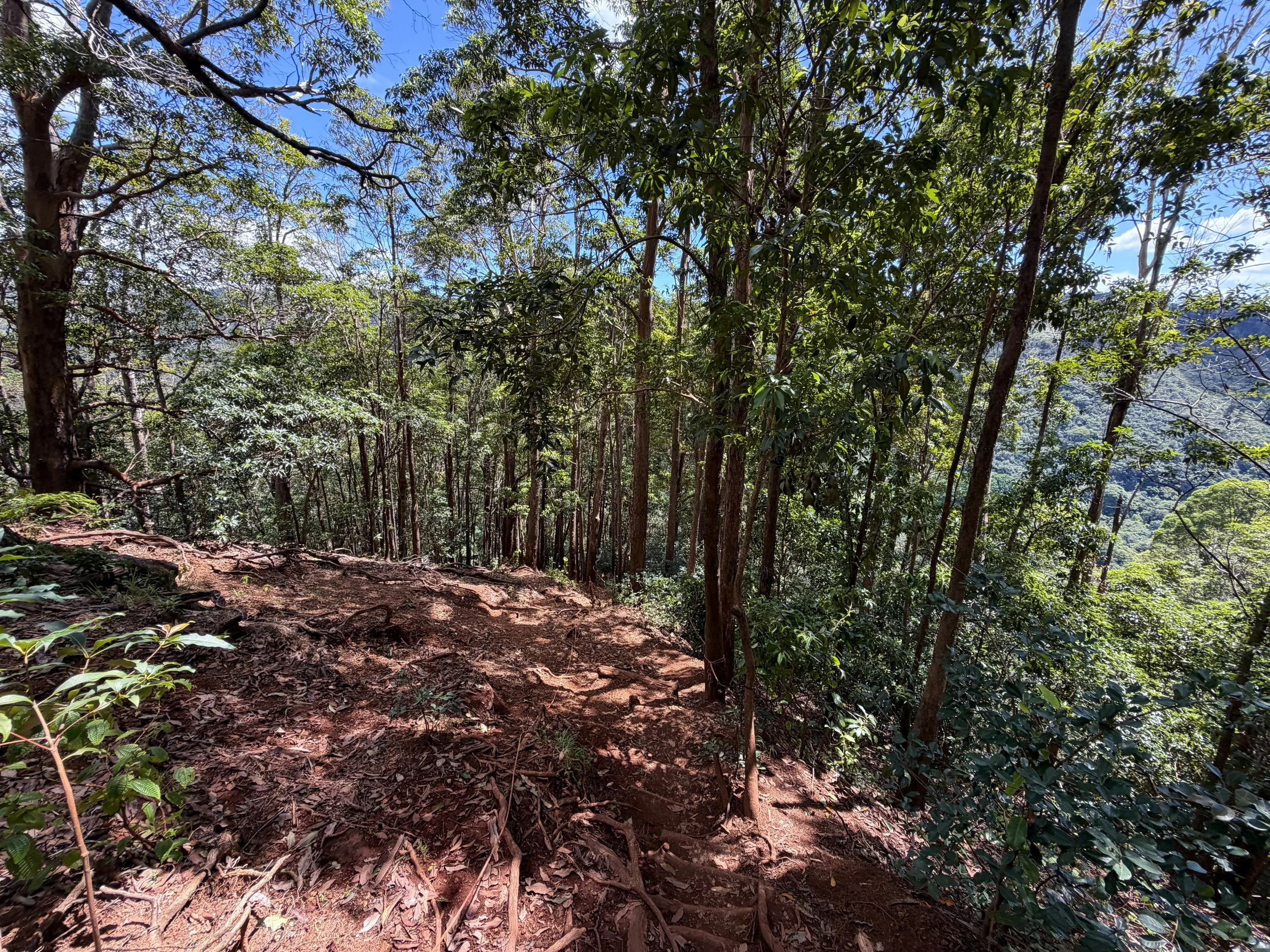 Waimano Falls Trail Oahu Hawaii