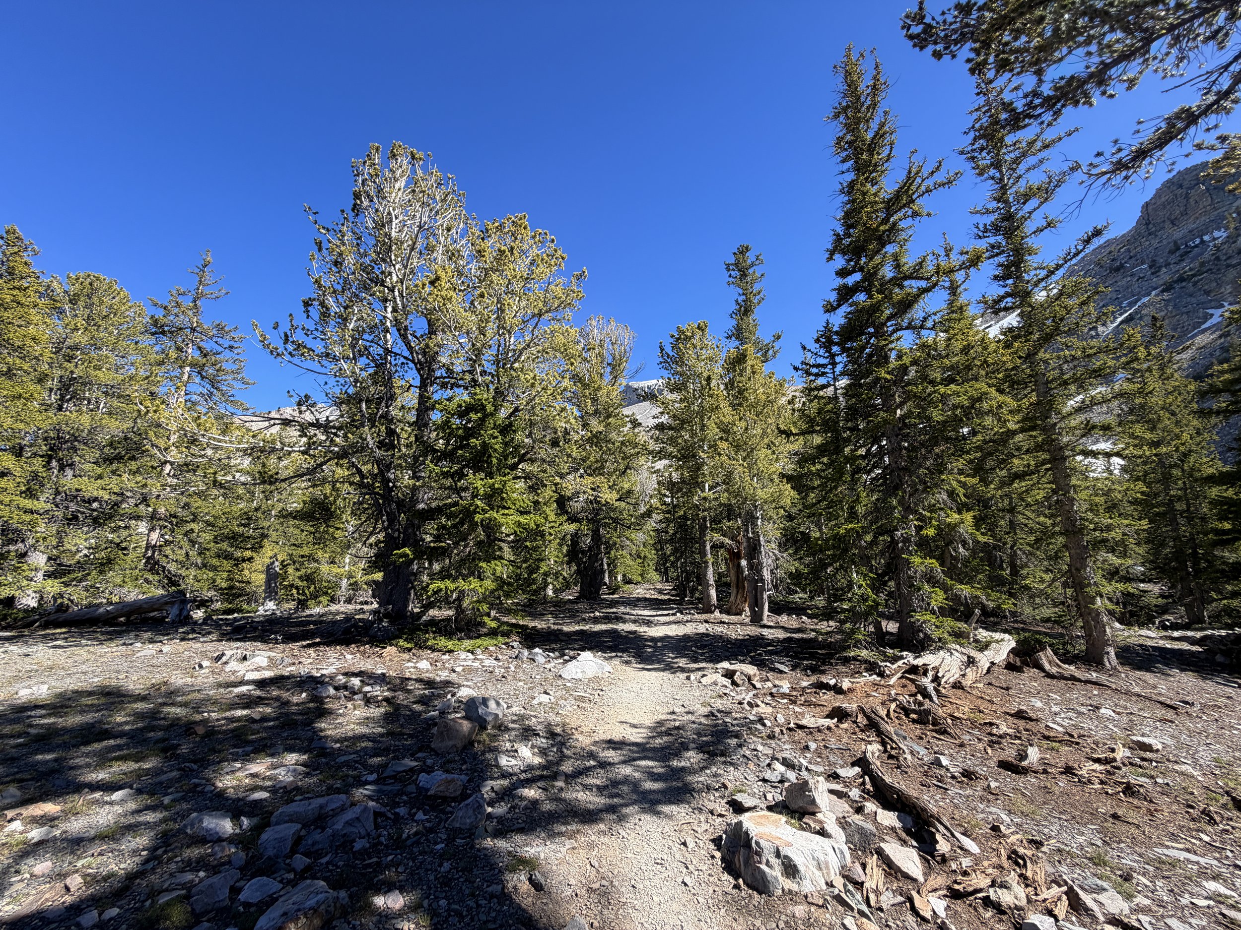 Alpine Lakes Loop Trail Great Basin National Park Nevada