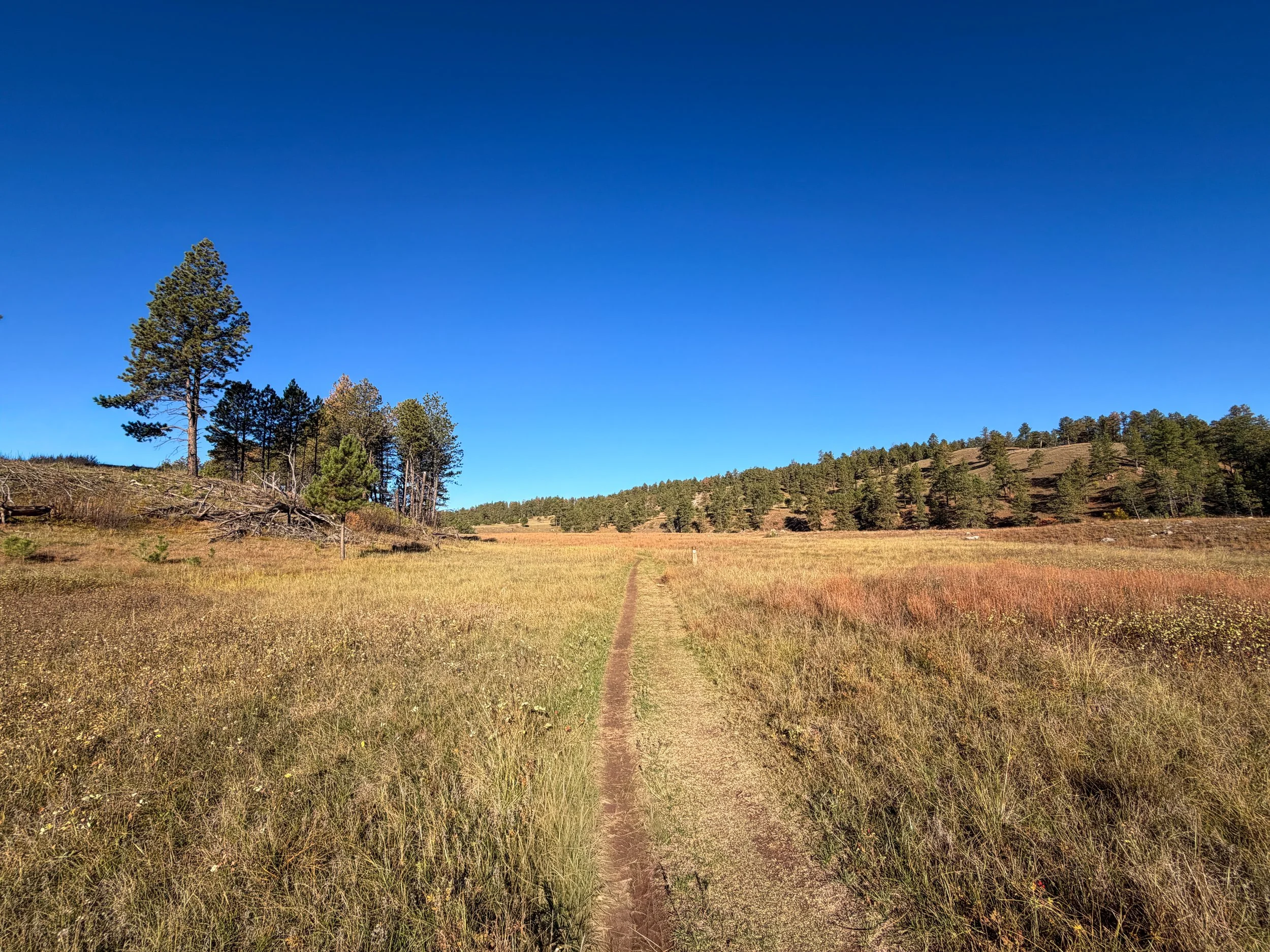 Cold Brook Canyon Trail Wind Cave National Park South Dakota