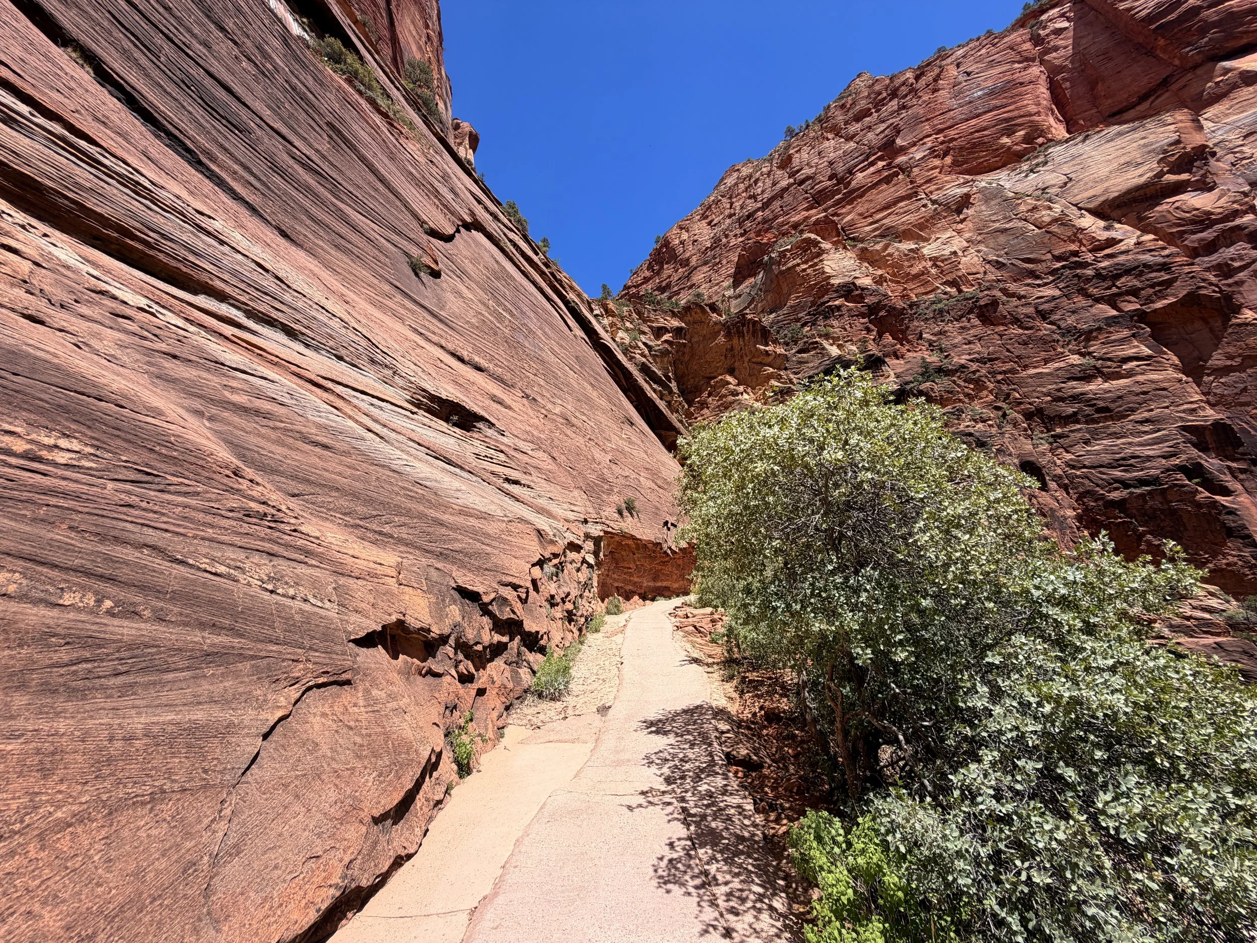 Angels Landing Trail Zion National Park Utah