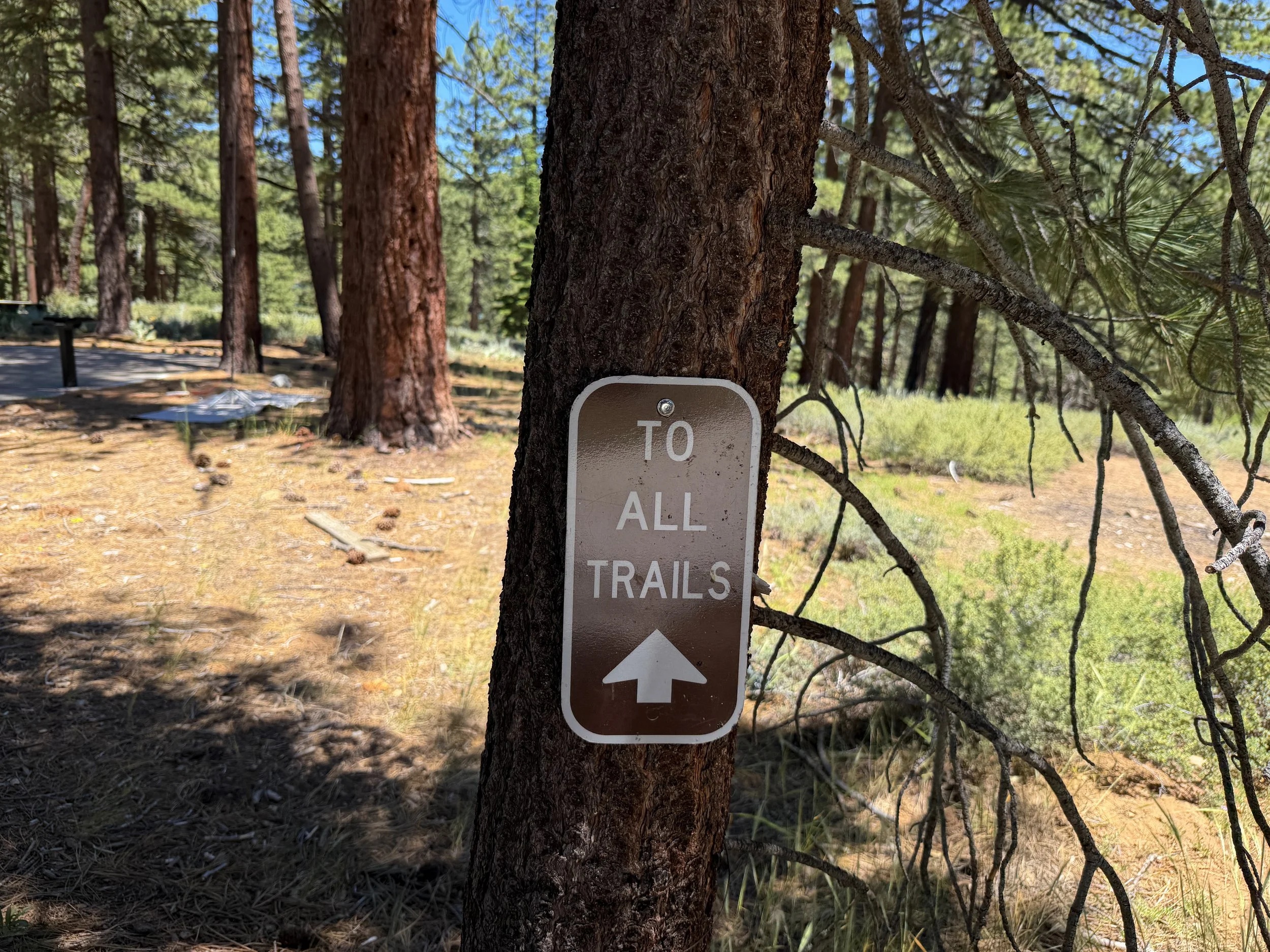 Spooner Lake Loop Trail Lake Tahoe Nevada