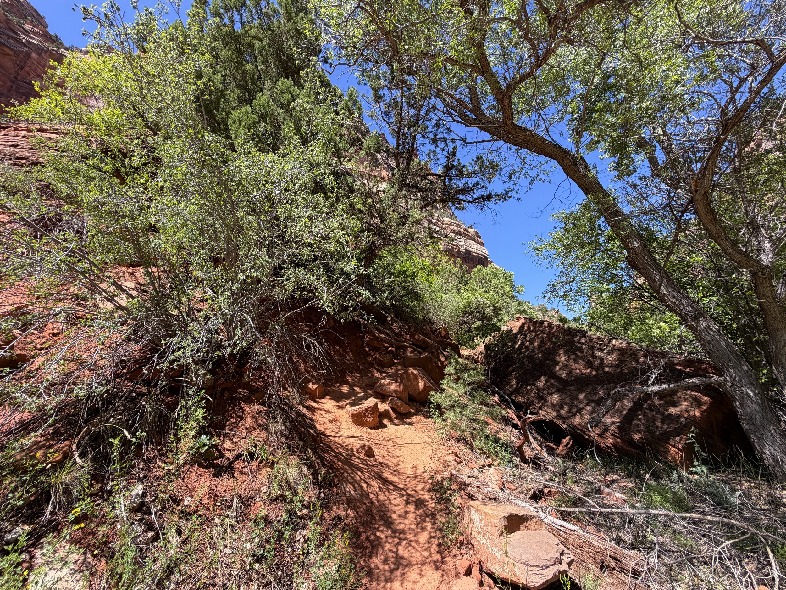 Subway Trail Zion National Park Utah