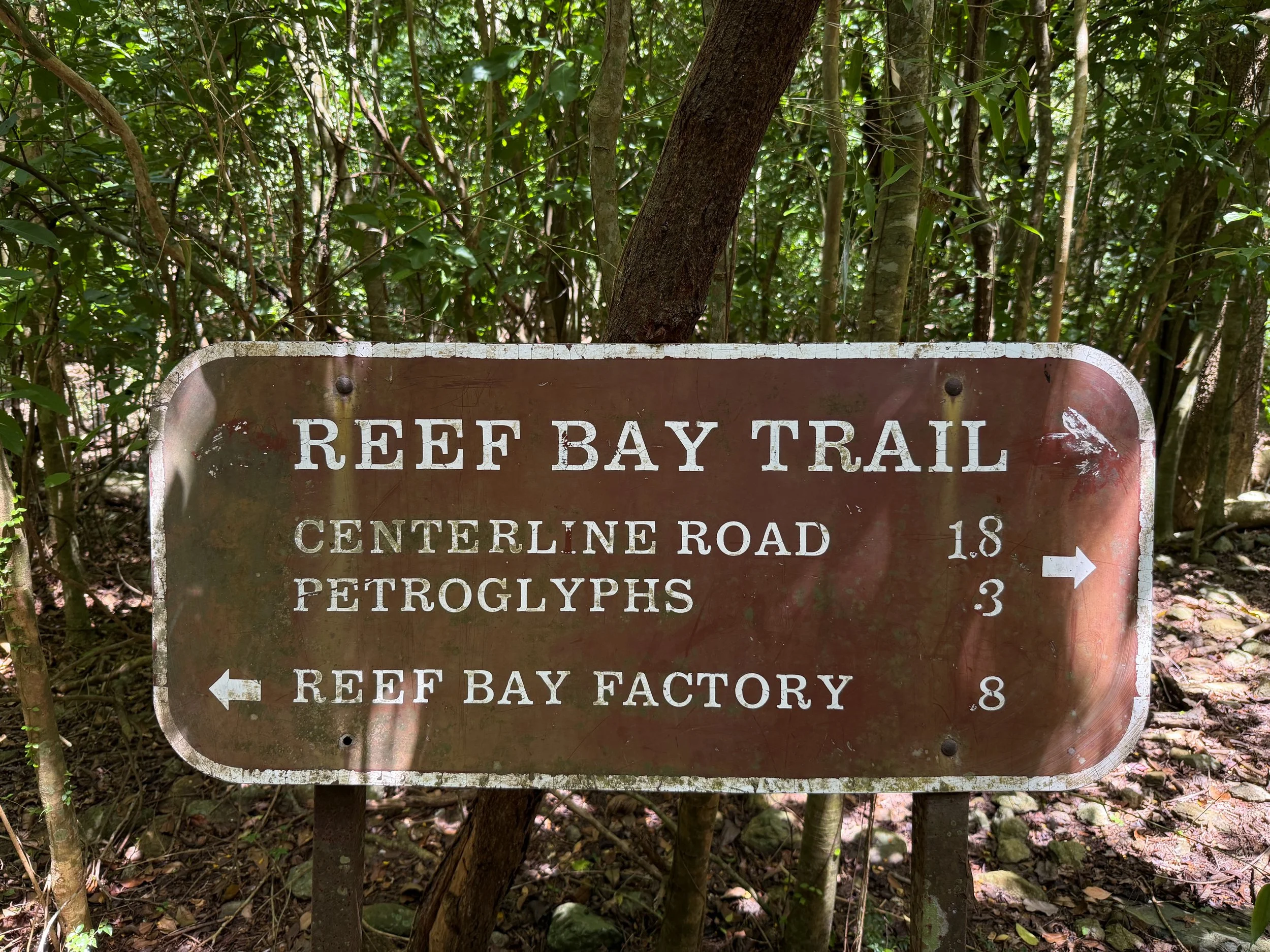 Lameshur Bay Trail to Petroglyphs Trail Virgin Islands National Park