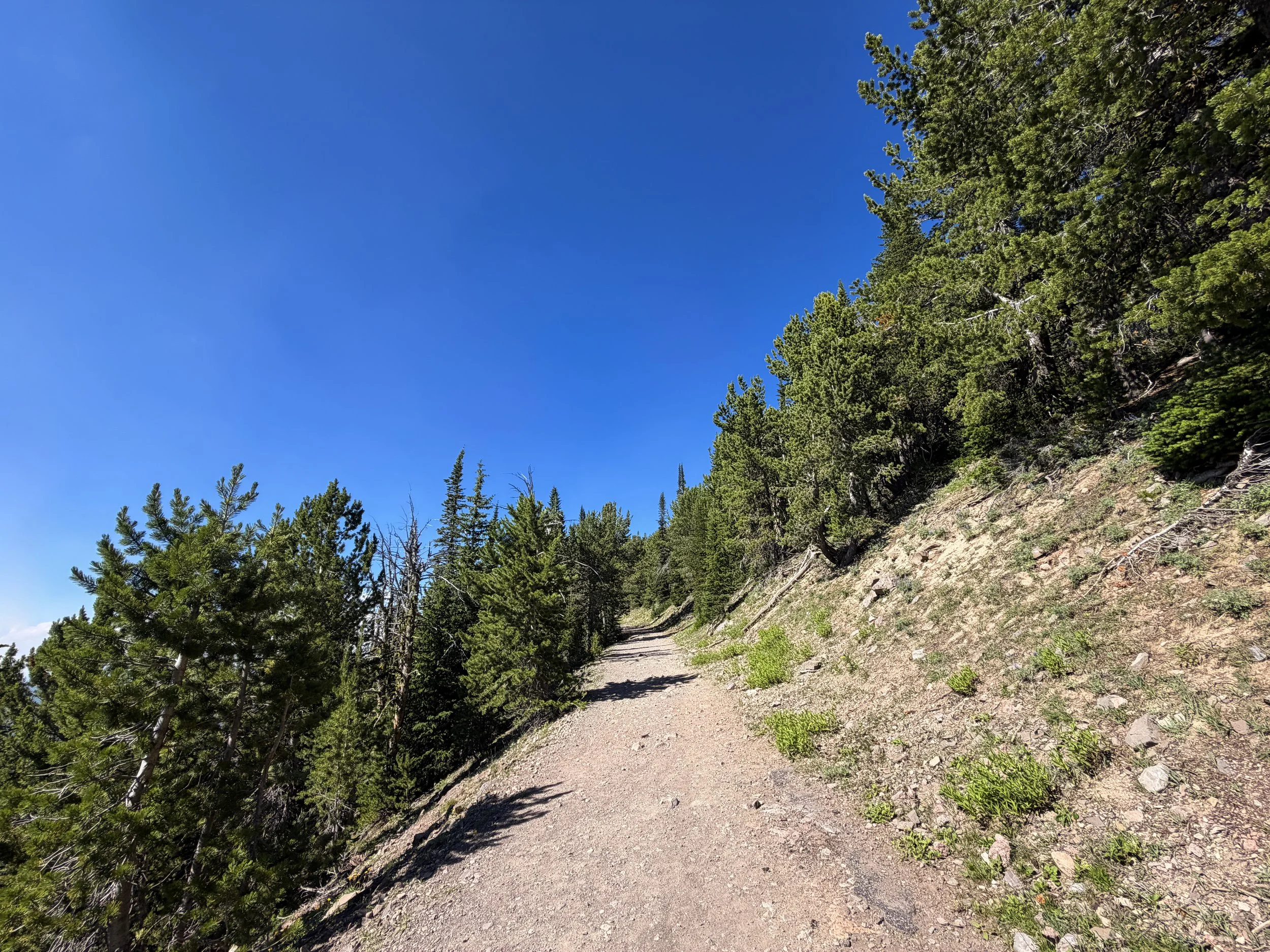 Mt. Washburn Hike via Dunraven Pass Yellowstone National Park Wyoming