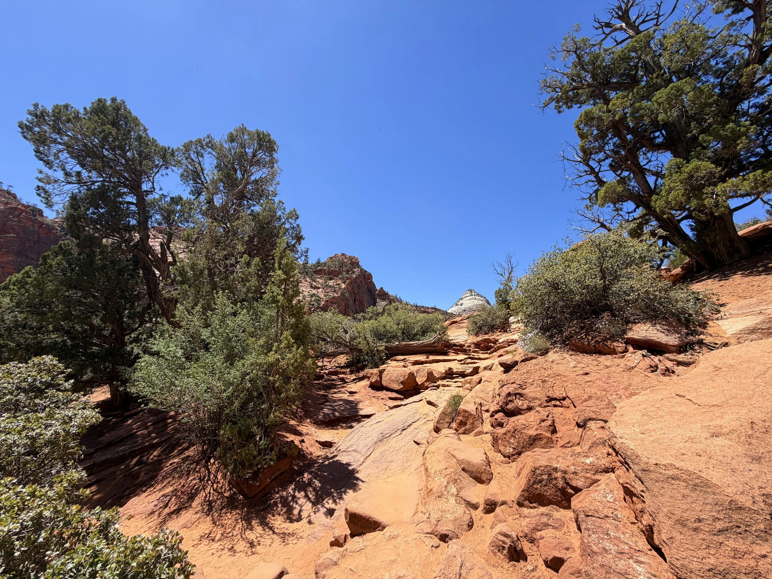 Canyon Overlook Trail Zion National Park Utah