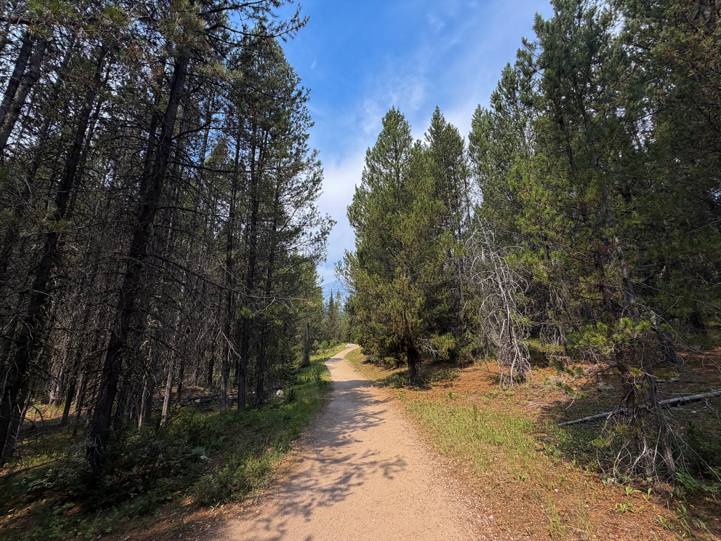 Phelps Lake Loop Hike Grand Teton National Park Wyoming