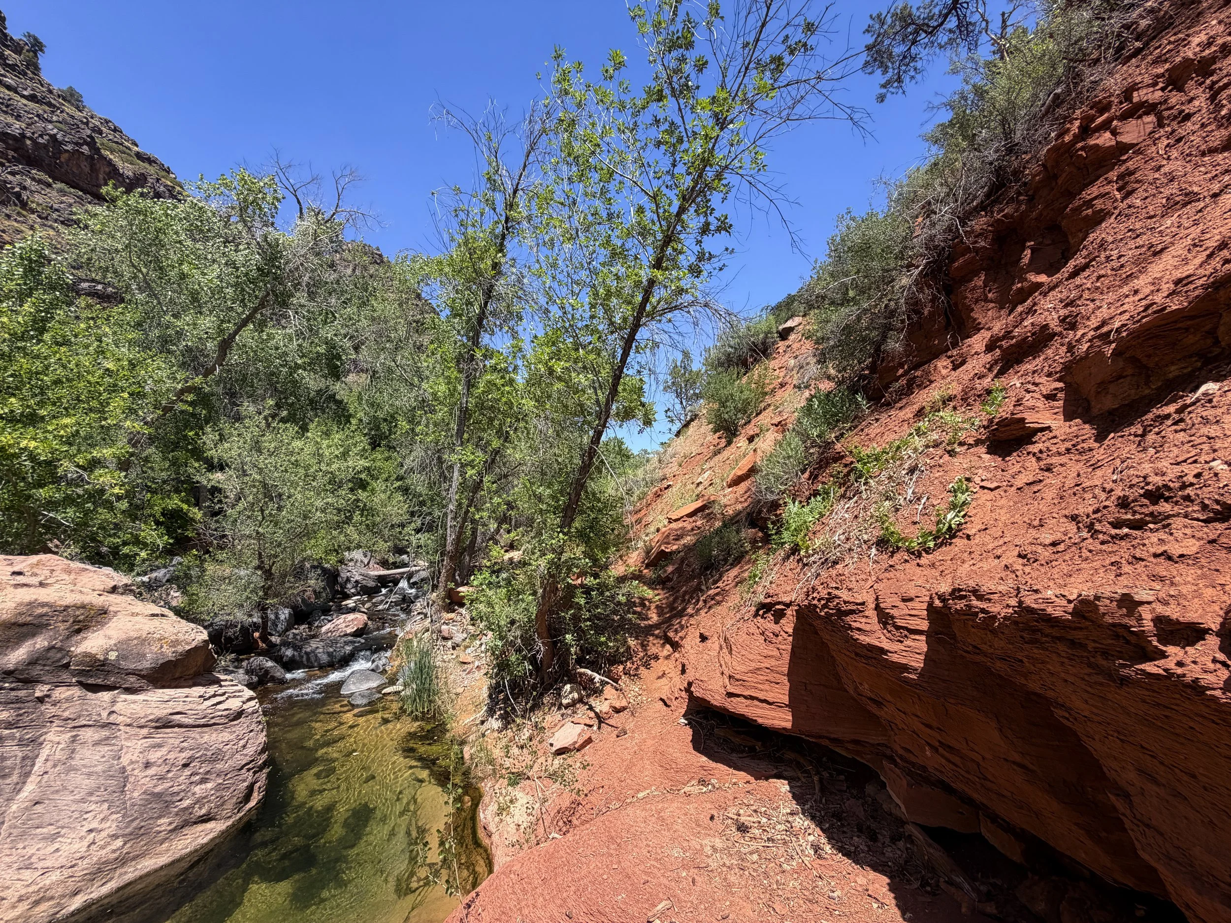 Grapevine Trail to Left Fork Falls Zion National Park Utah