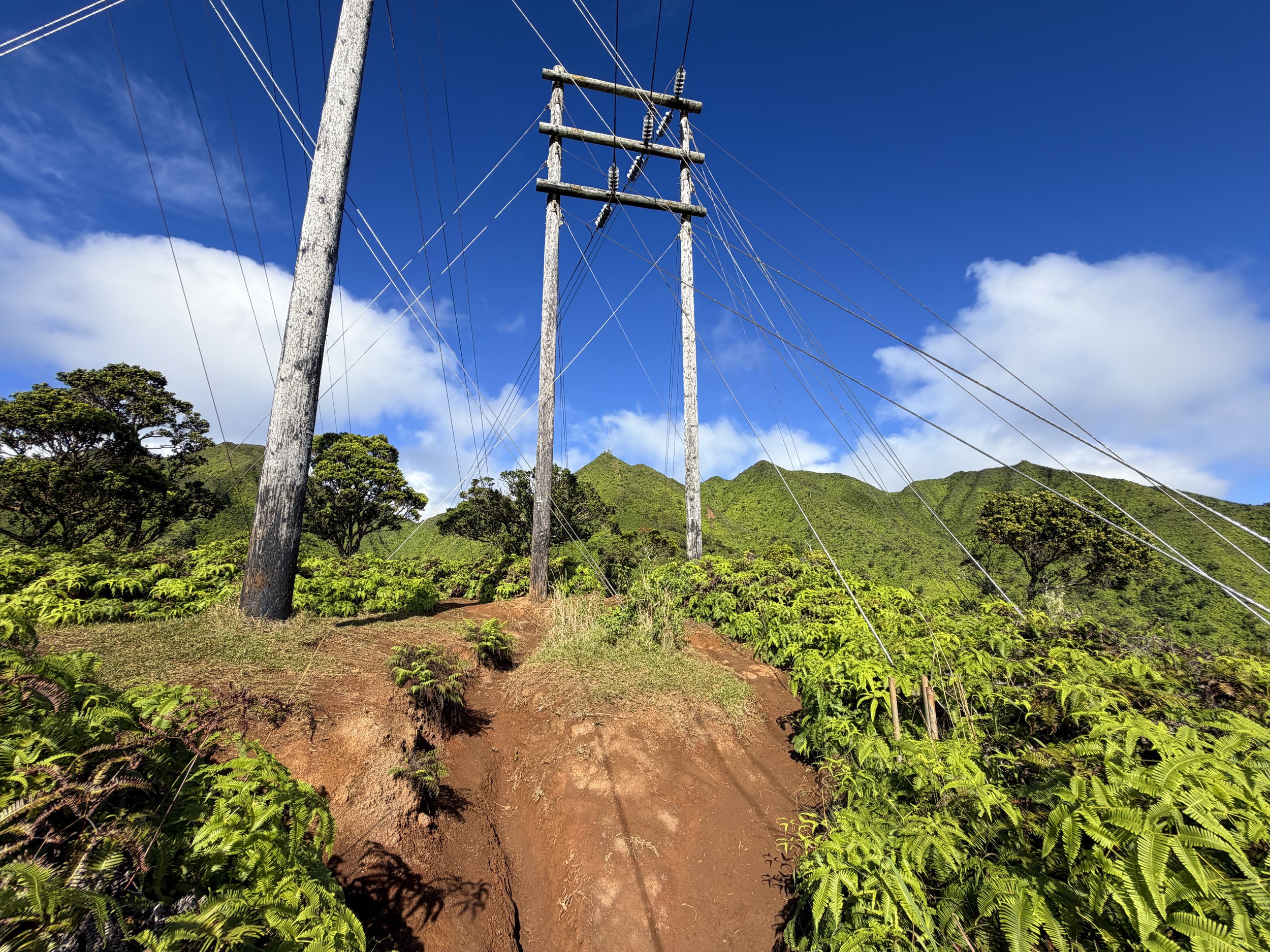 Wiliwilinui Ridge Trail Oahu Hawaii