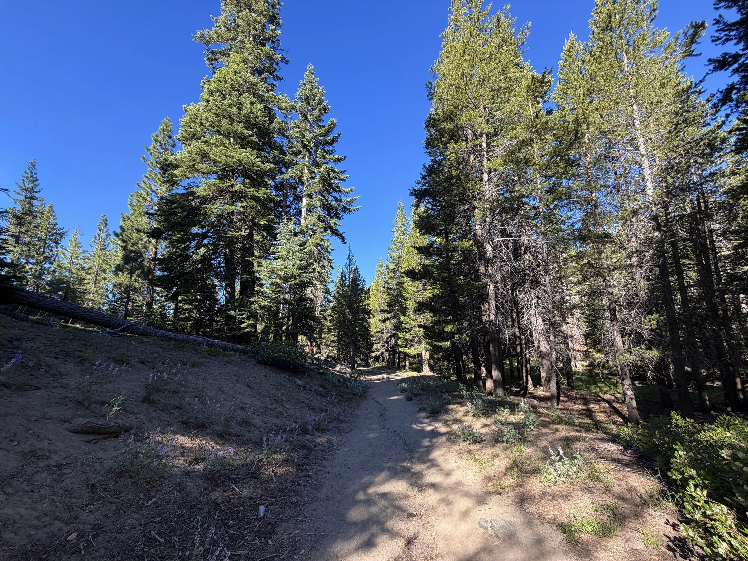 Castle Rock Trail Lake Tahoe Nevada