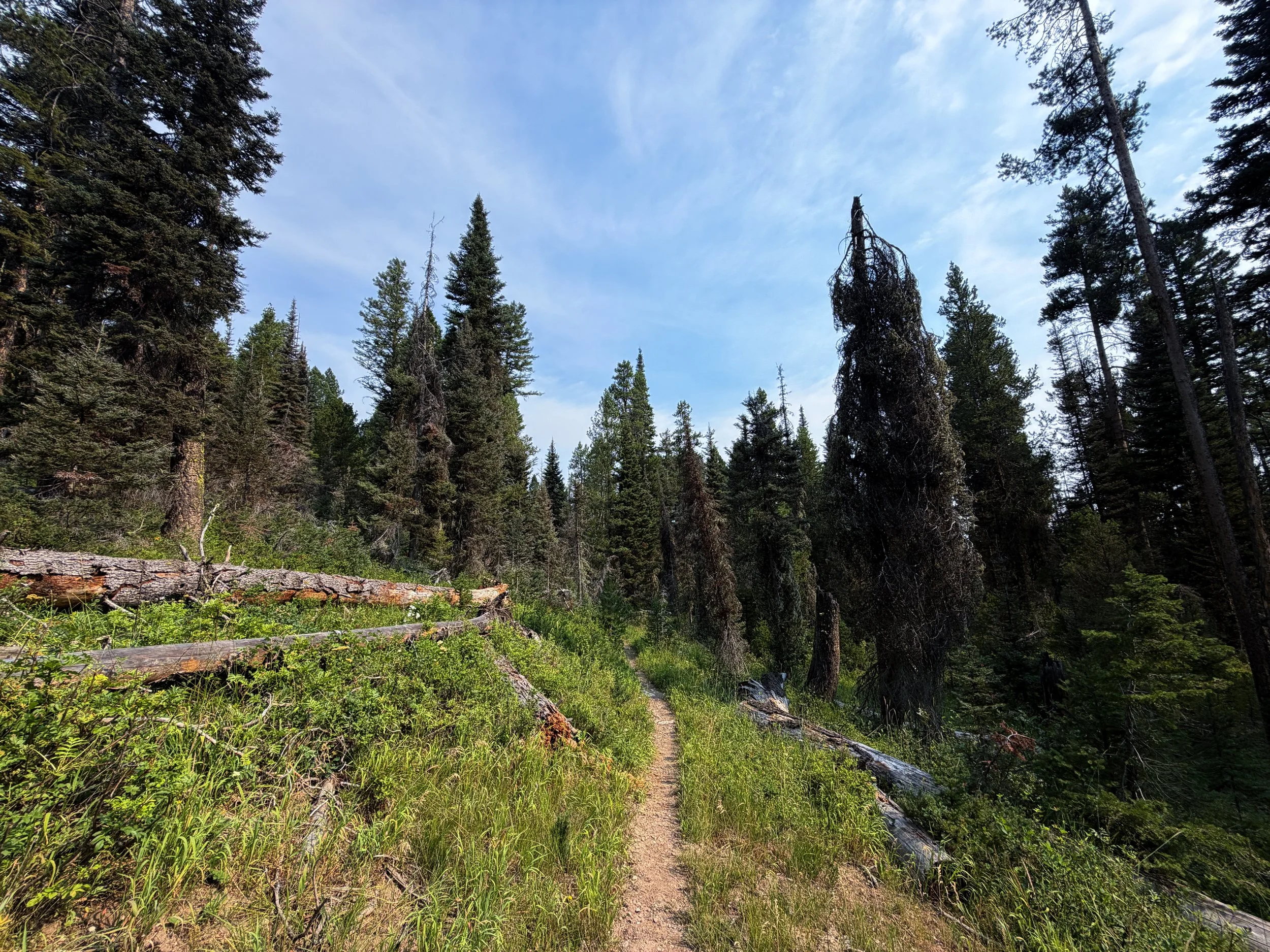 Aspen Ridge Trail Grand Teton National Park Wyoming