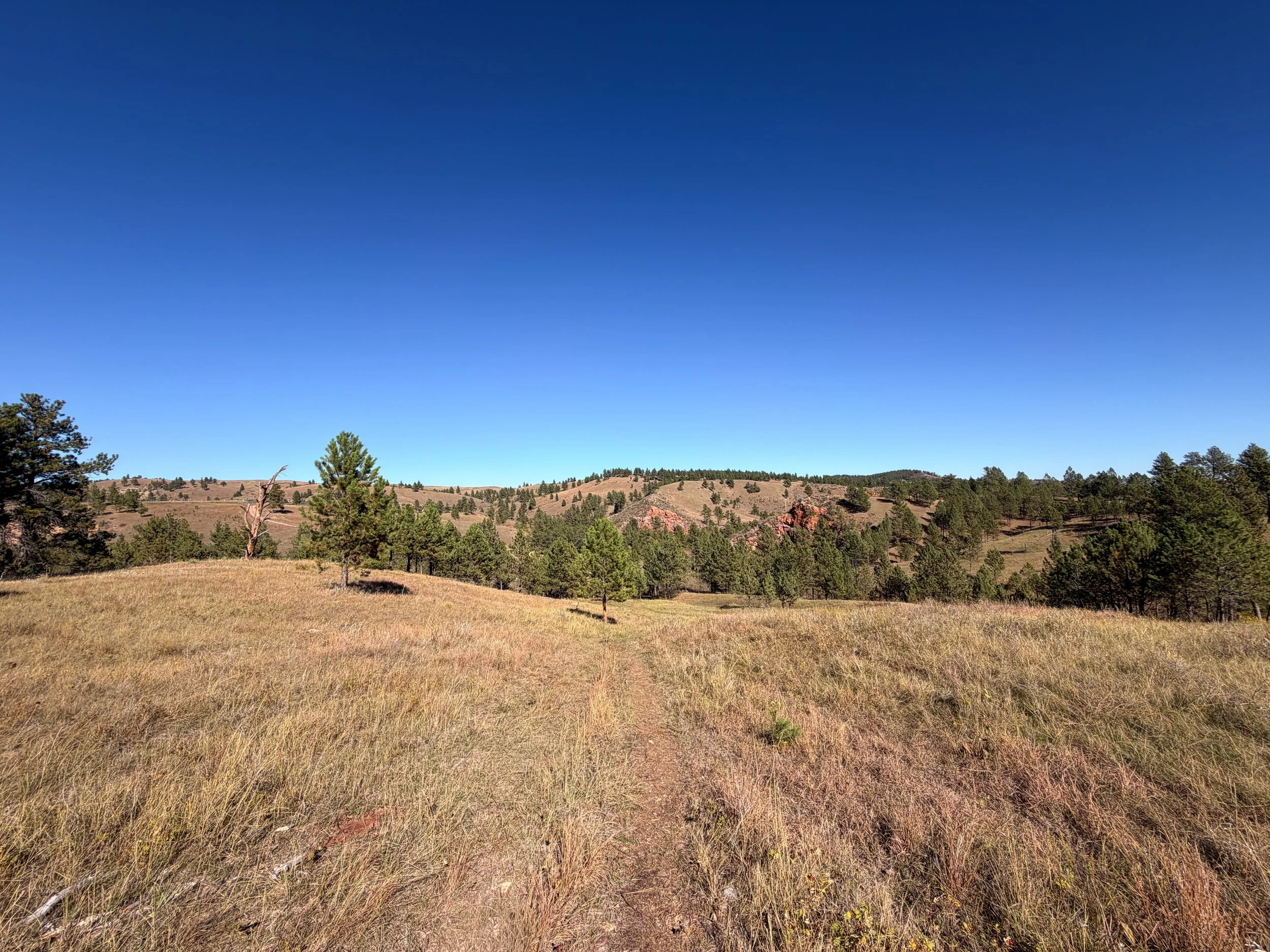 East Bison Flats Trail to Wind Cave Canyon Wind Cave National Park South Dakota