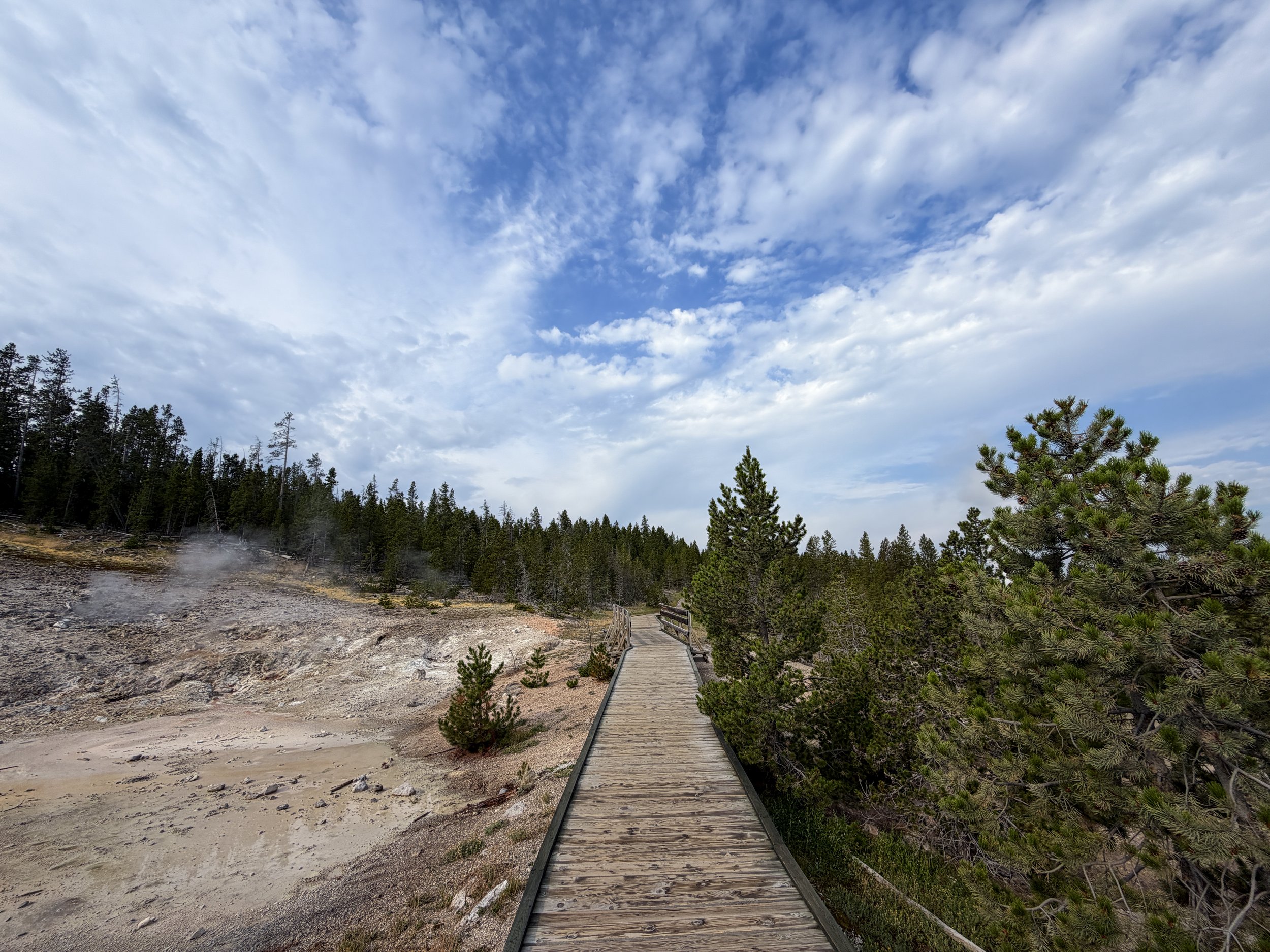 Norris Geyser Basin Trail Yellowstone National Park Wyoming