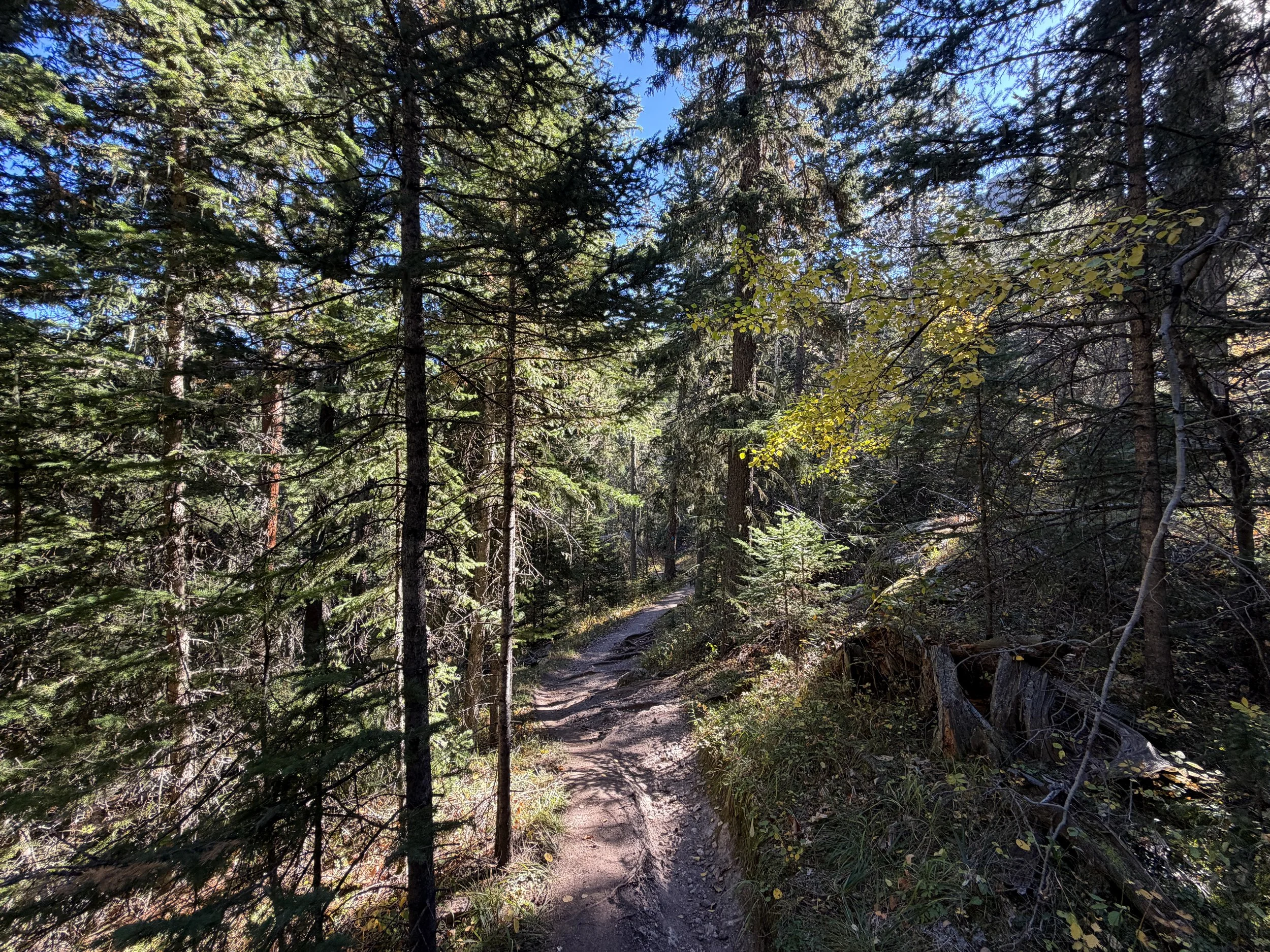 Sunday Gulch Hike Custer State Park Black Hills South Dakota