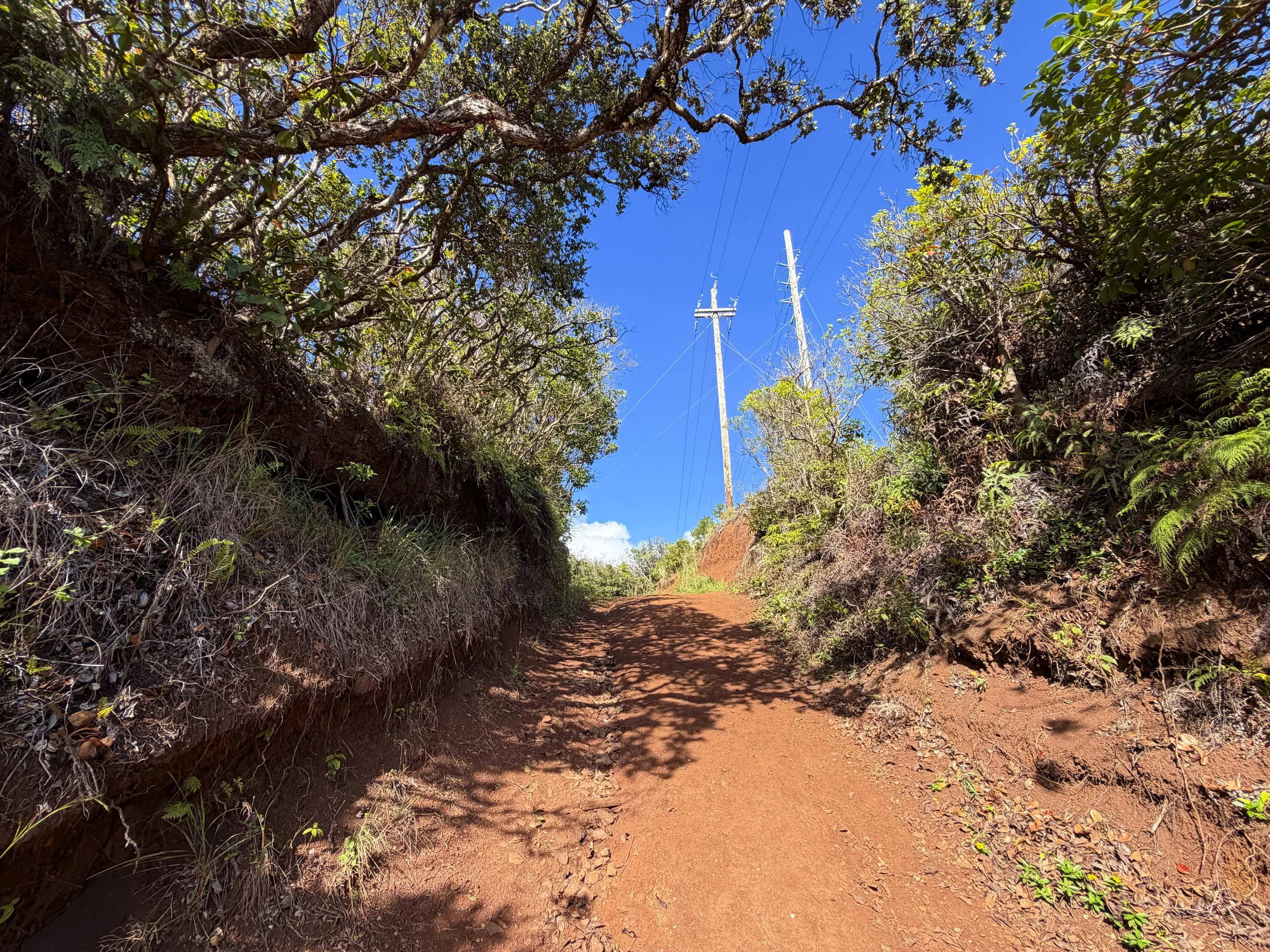 Wiliwilinui Ridge Hike Oahu Hawaii