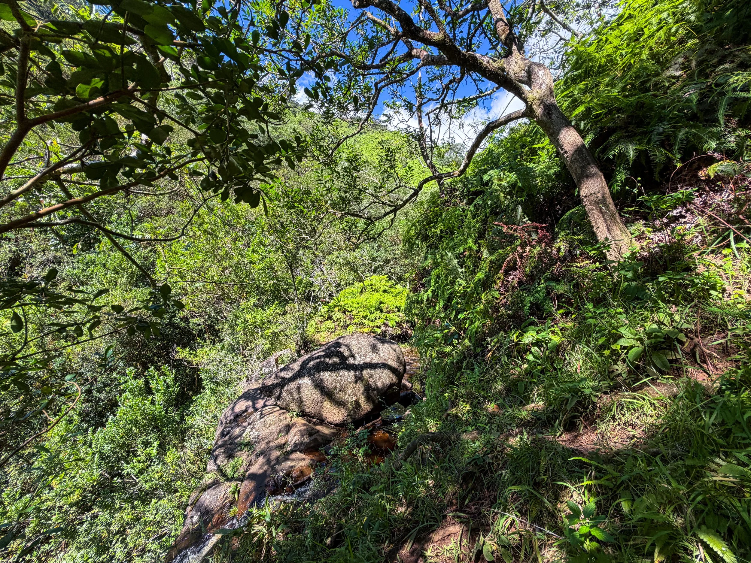 Top of Second Waterfall Kaau Crater Trail Oahu Hawaii