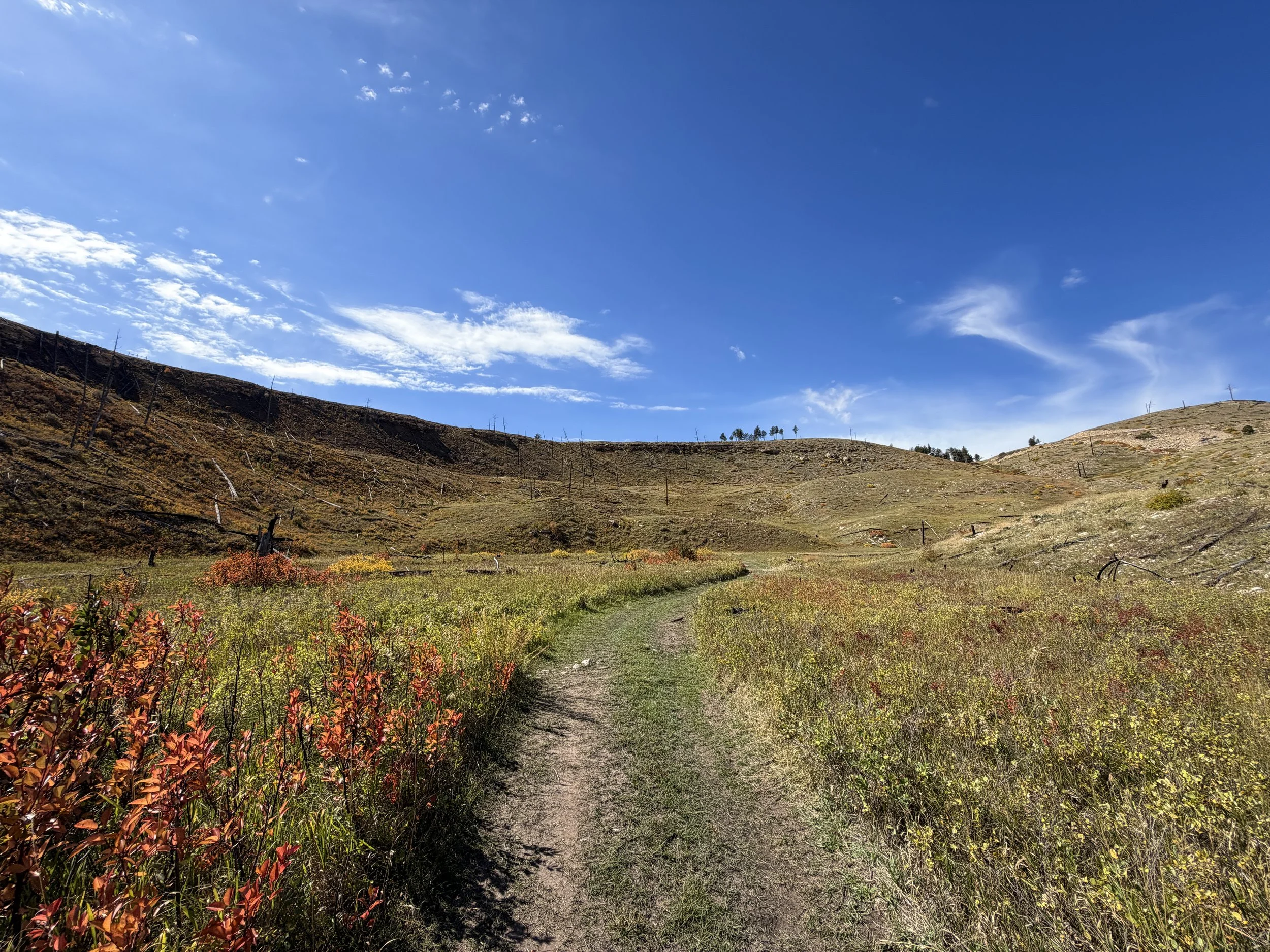 Canyons Loop Hike Jewel Cave National Monument Black Hills South Dakota