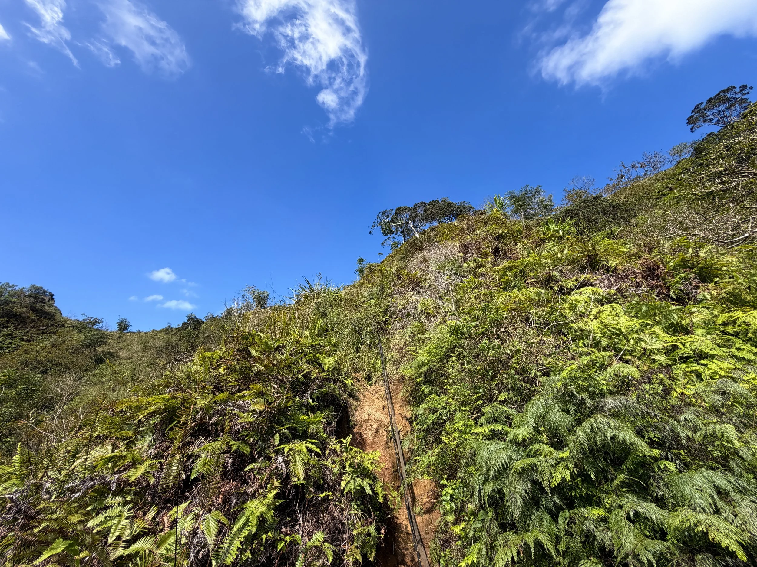 Kulanaahane Trail Ropes Oahu Hawaii